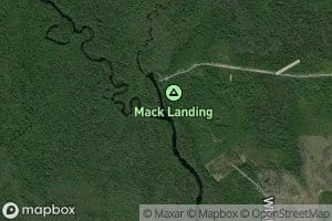 Vause Branch Ochlockonee River