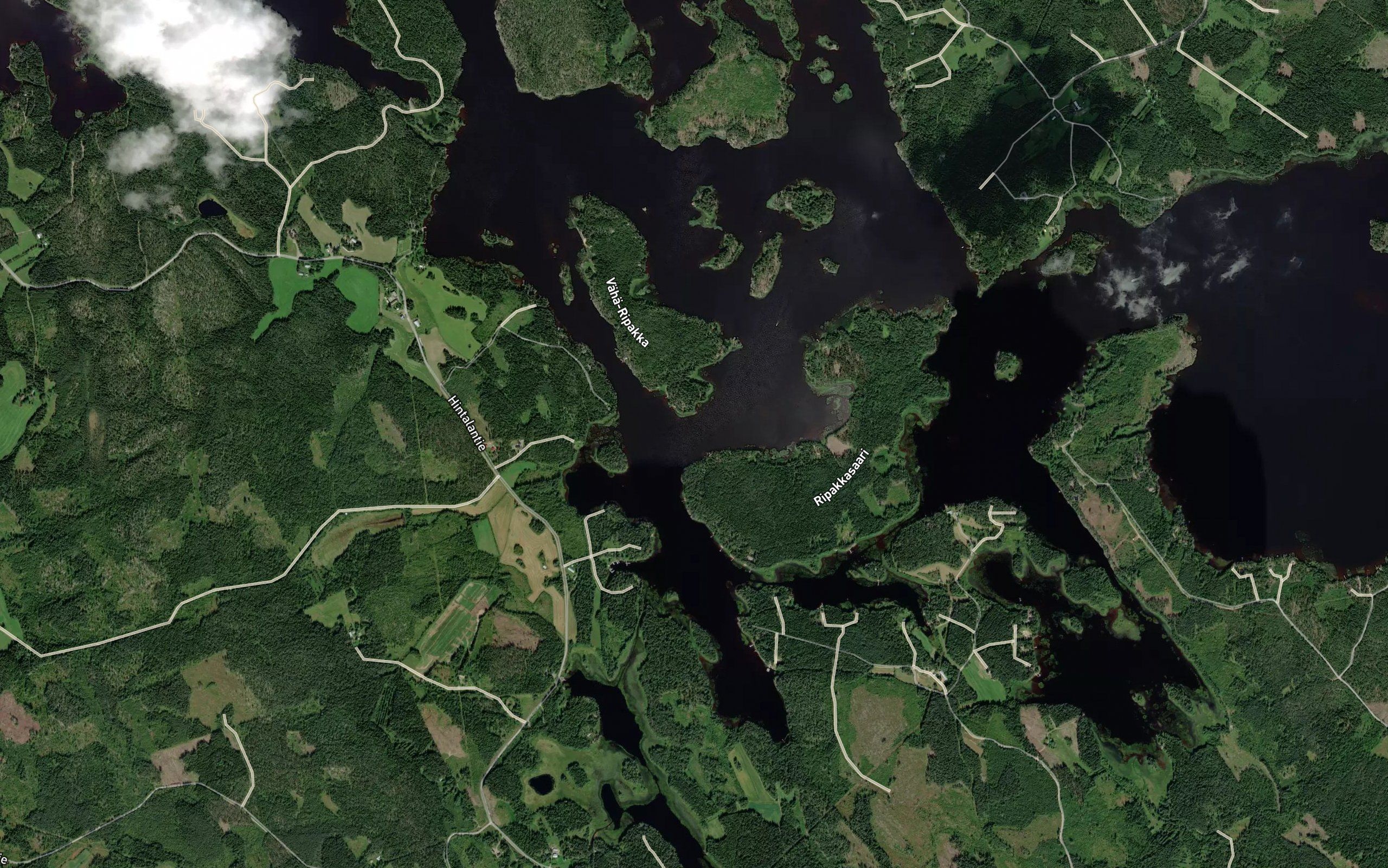 Ripakanvesi
