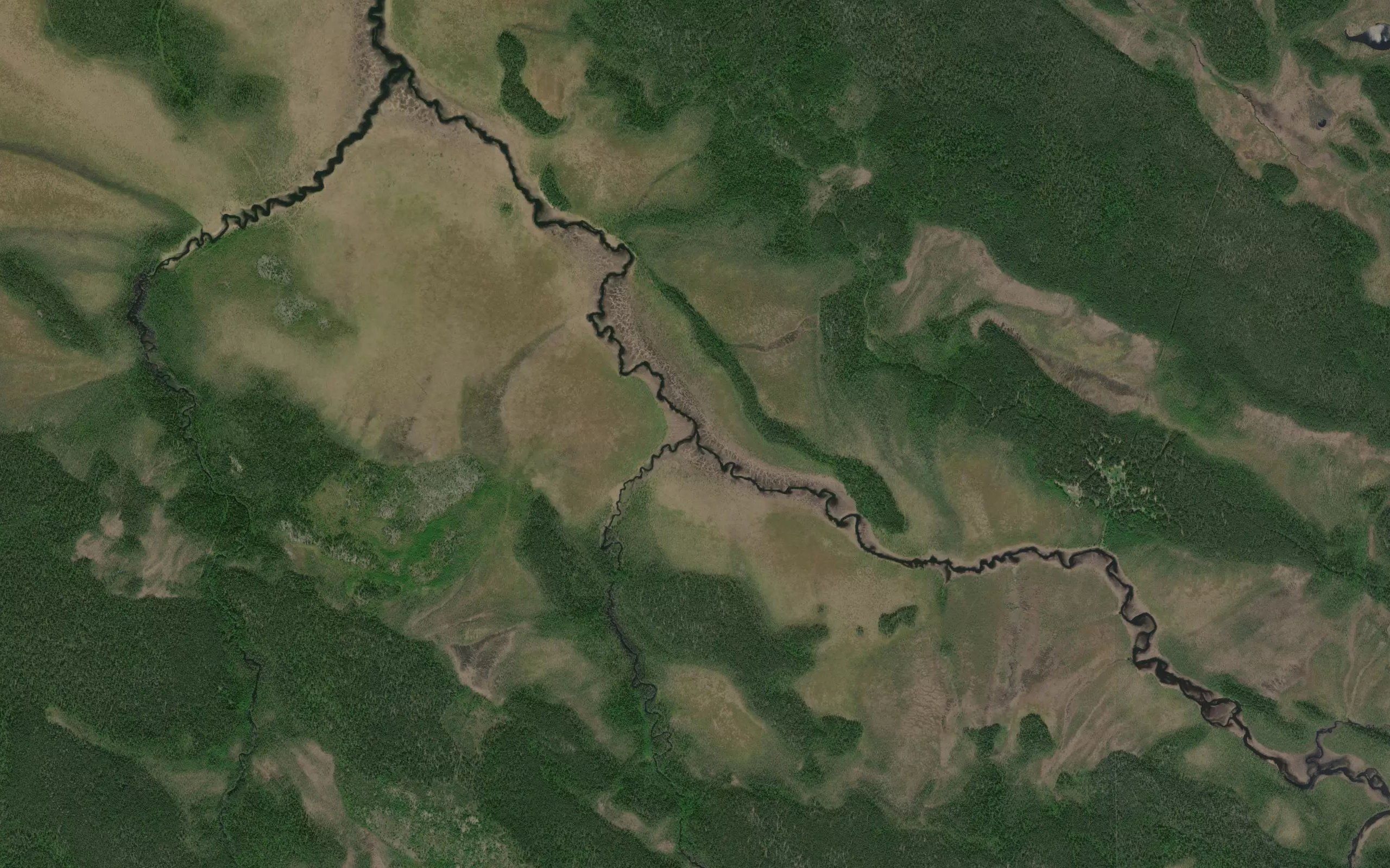 Mushtaoya