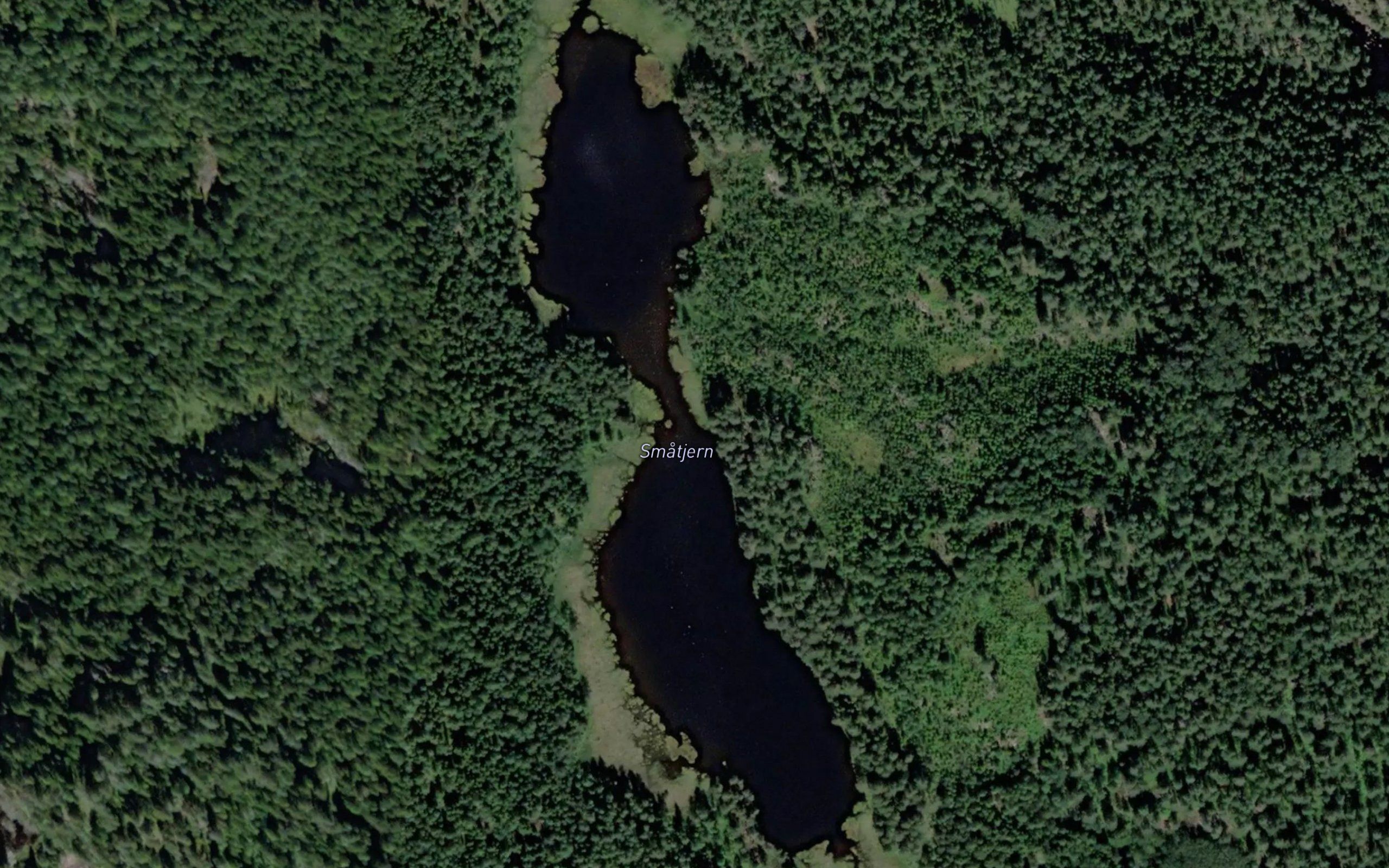 Smatjern