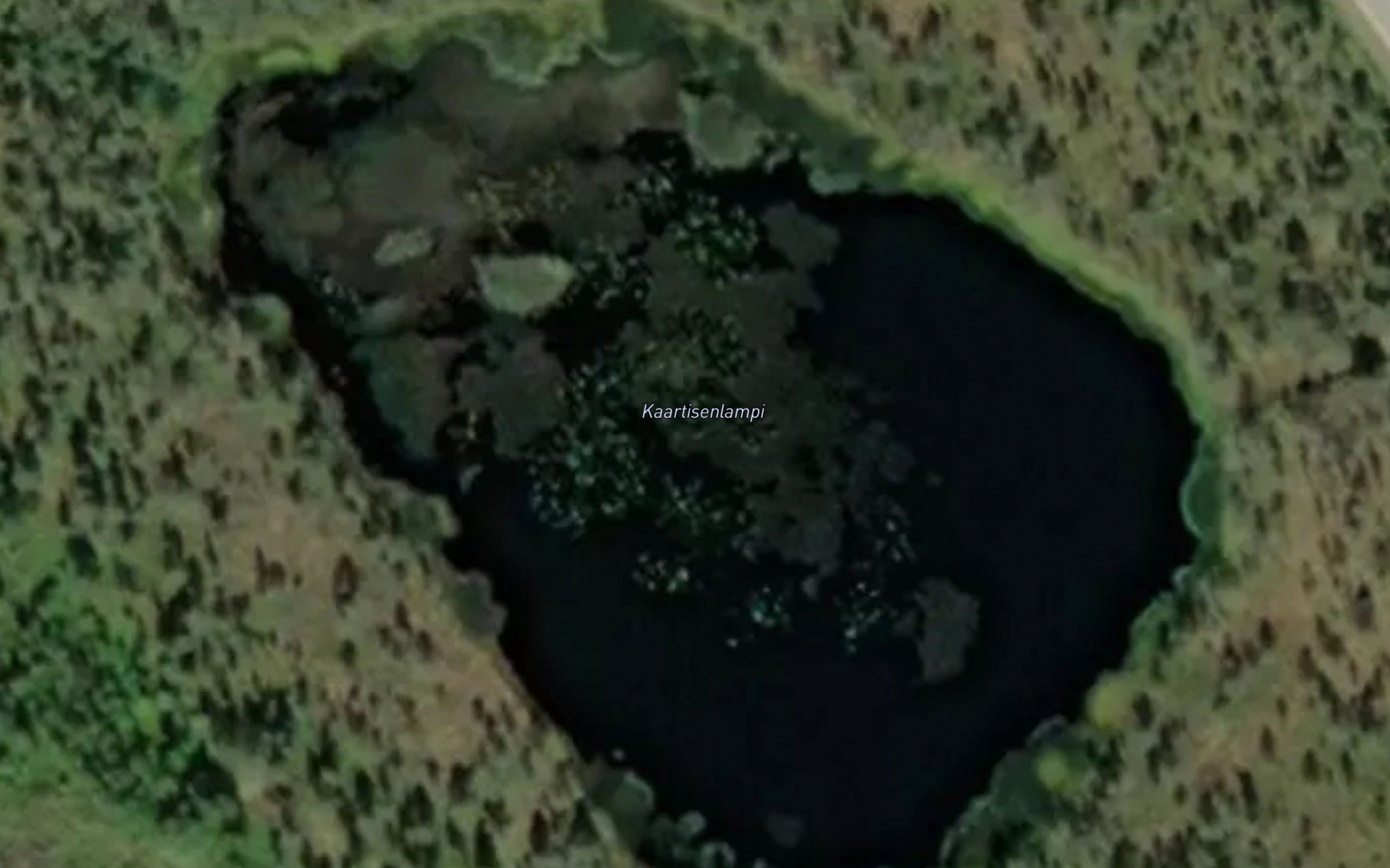 Kaartisenlampi