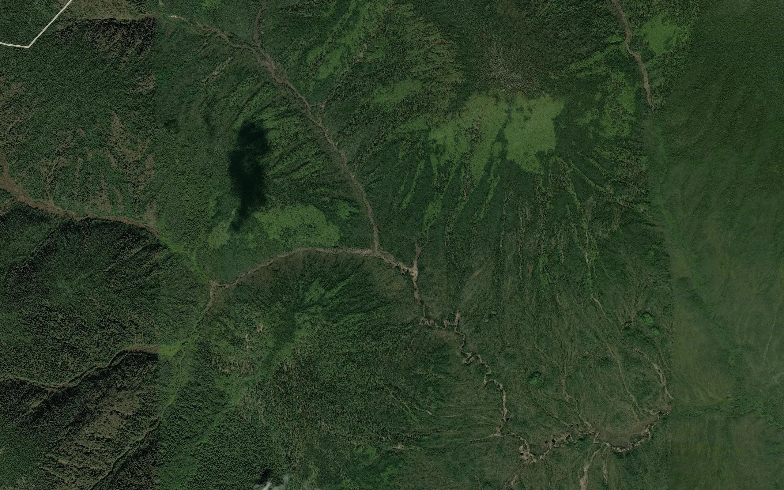 Teddy Creek