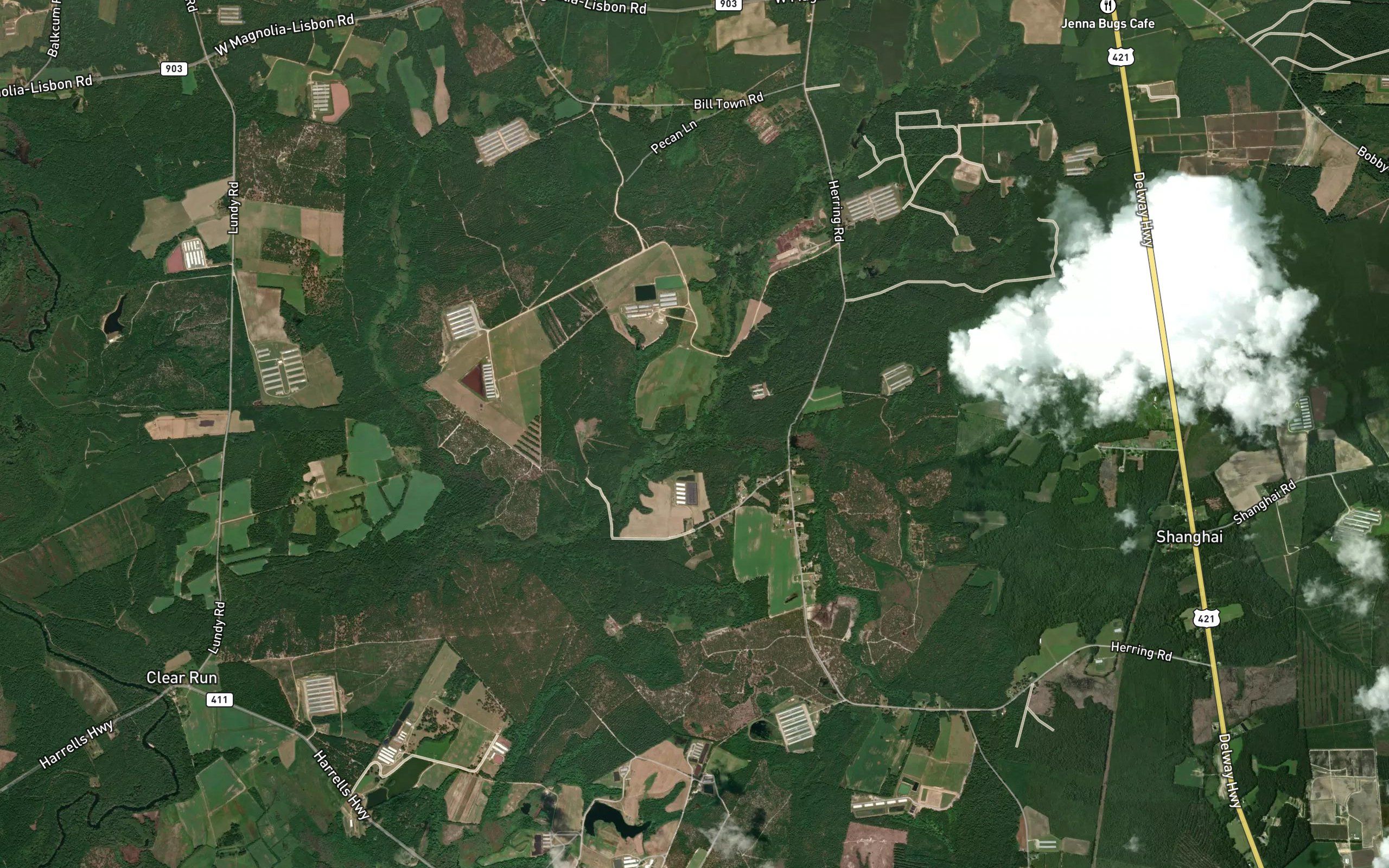 Free Will Creek