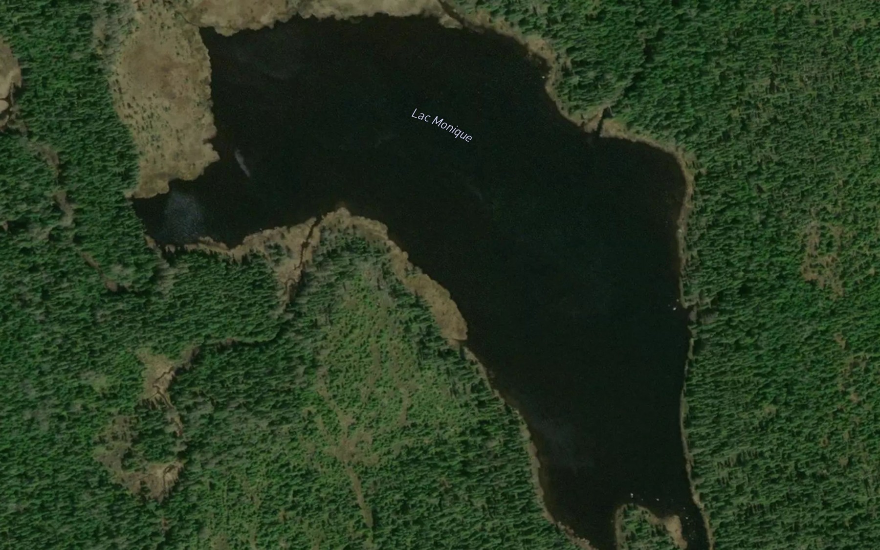Satellite map of the Lac Monique