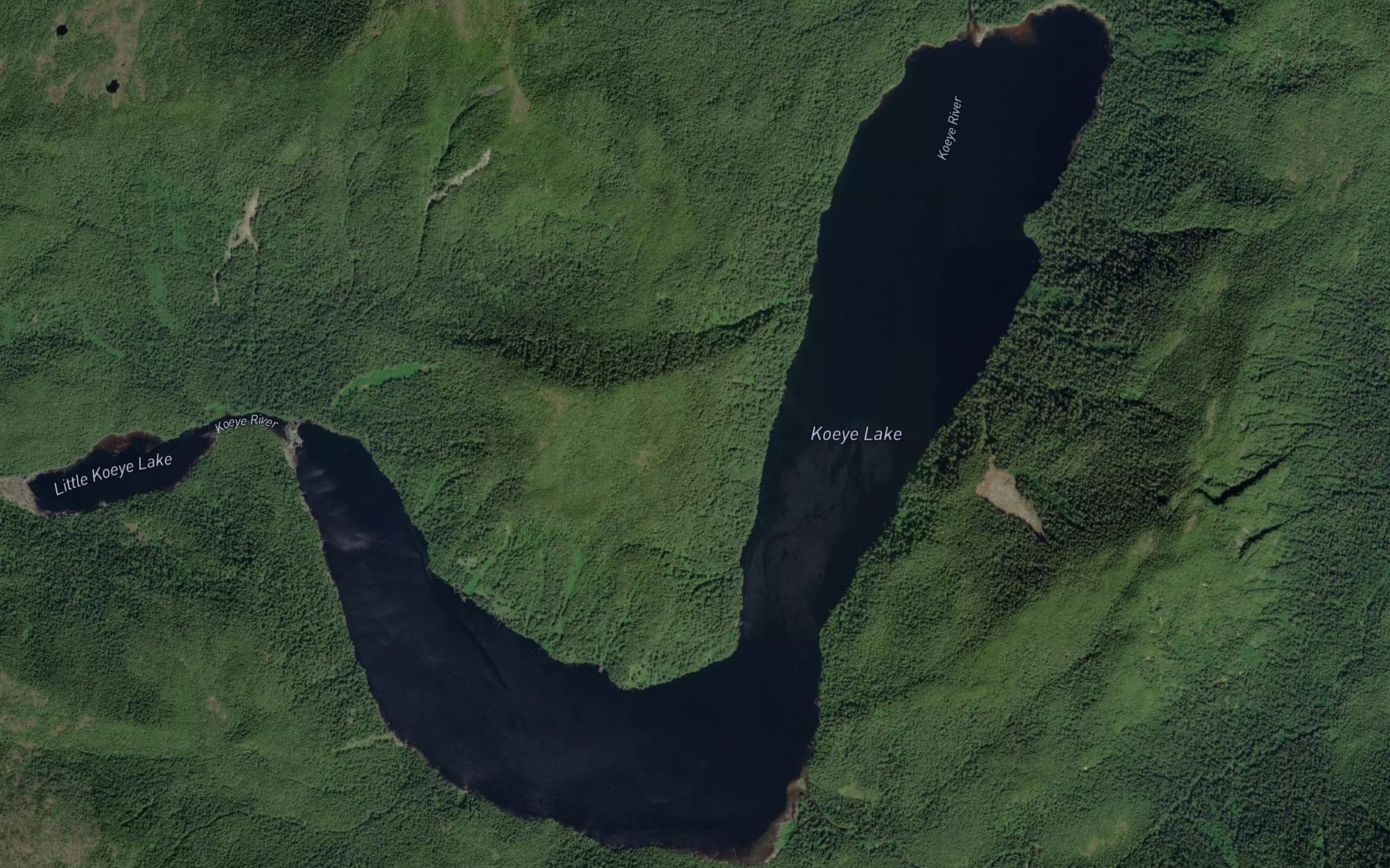 Satellite map of the Koeye Lake
