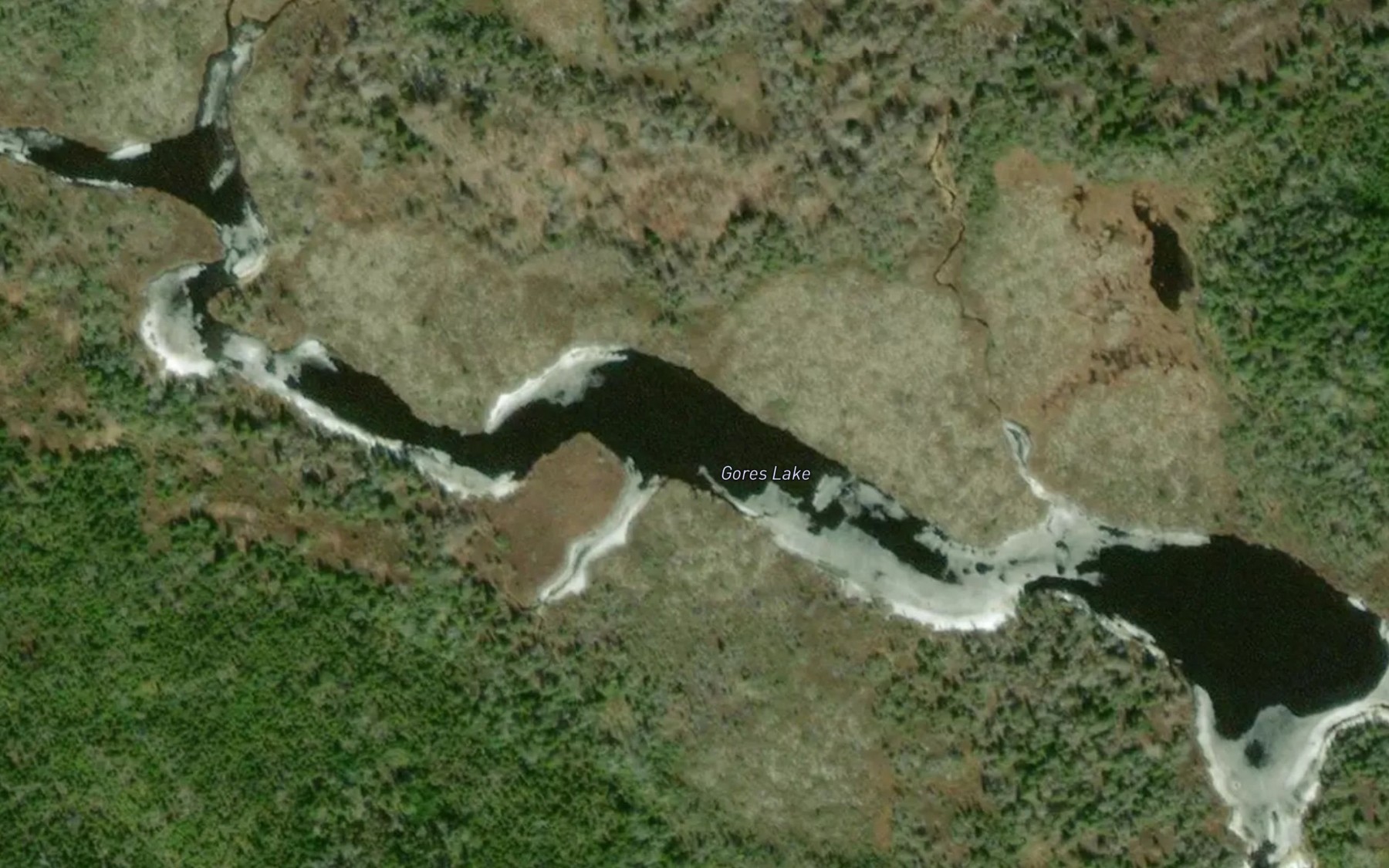 Satellite map of the Gores Lake