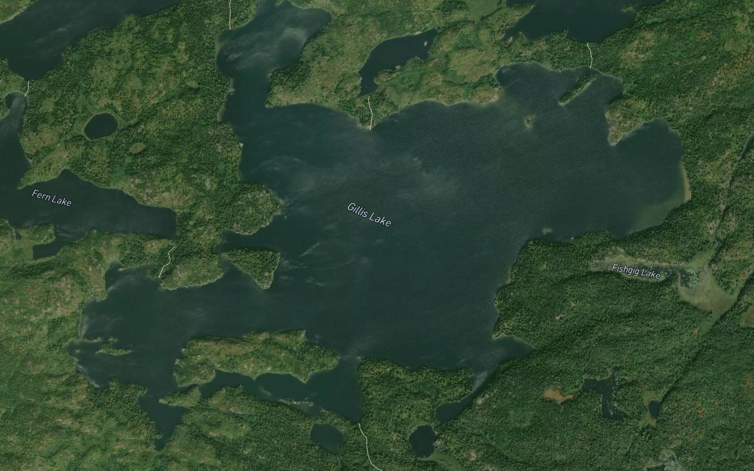 Gillis Lake