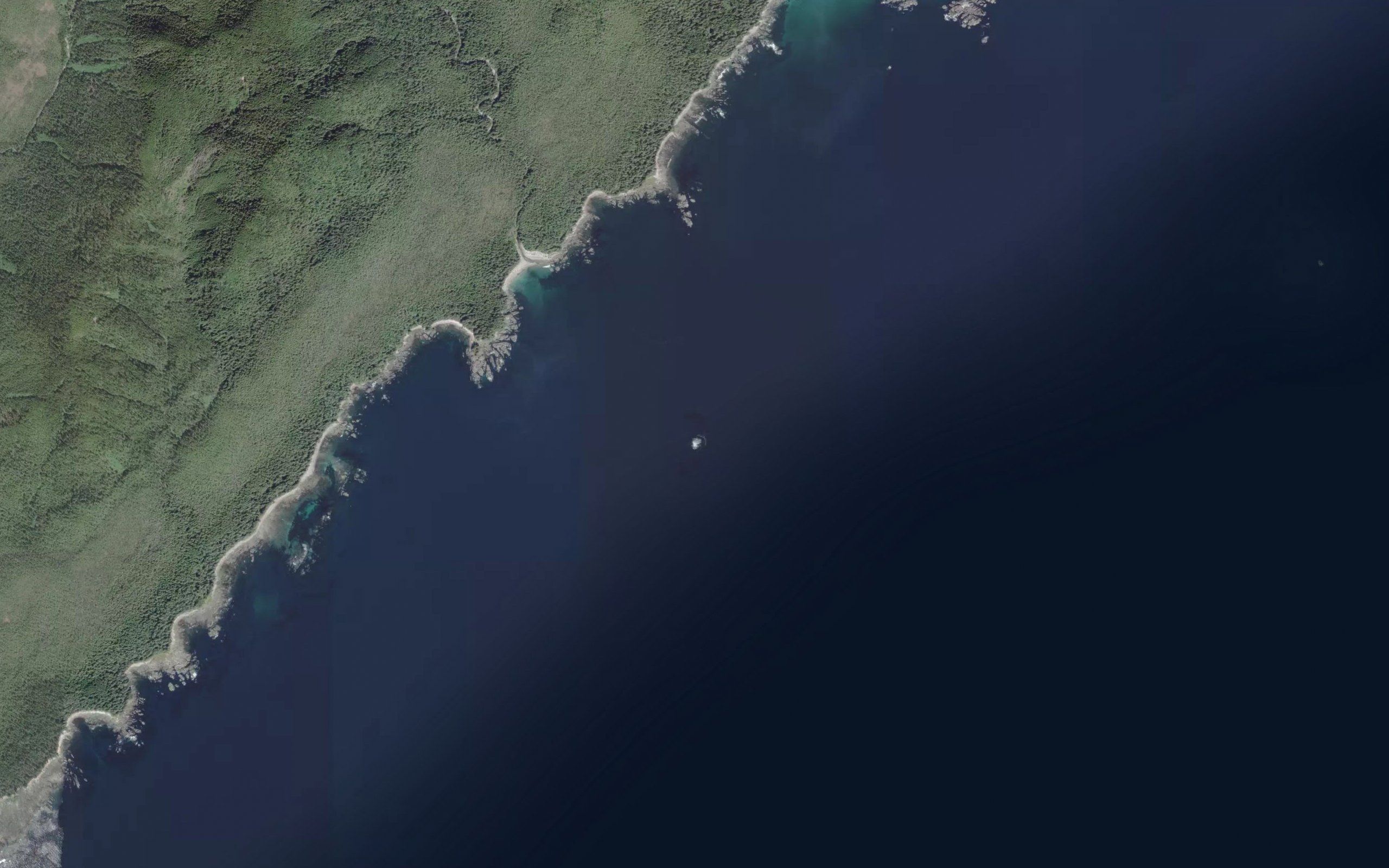 Quineex Reef
