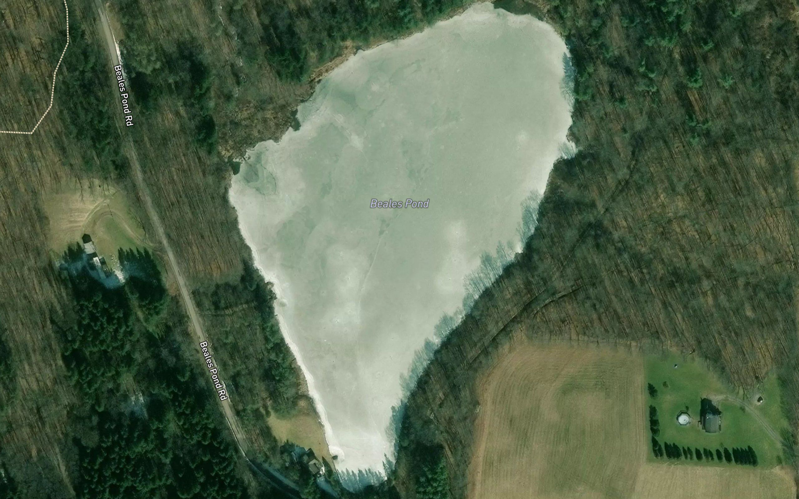 Beales Pond