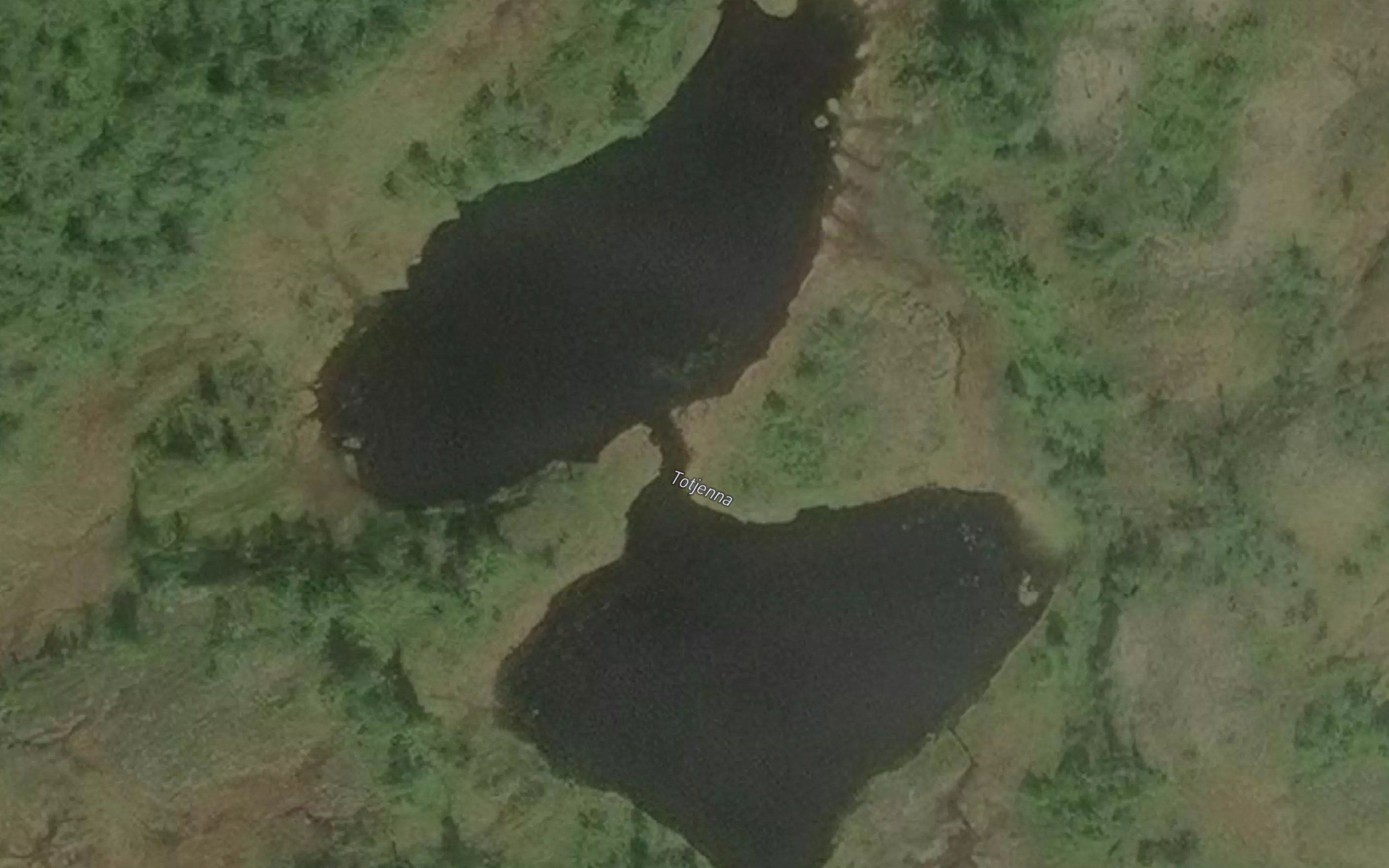 Totjorna