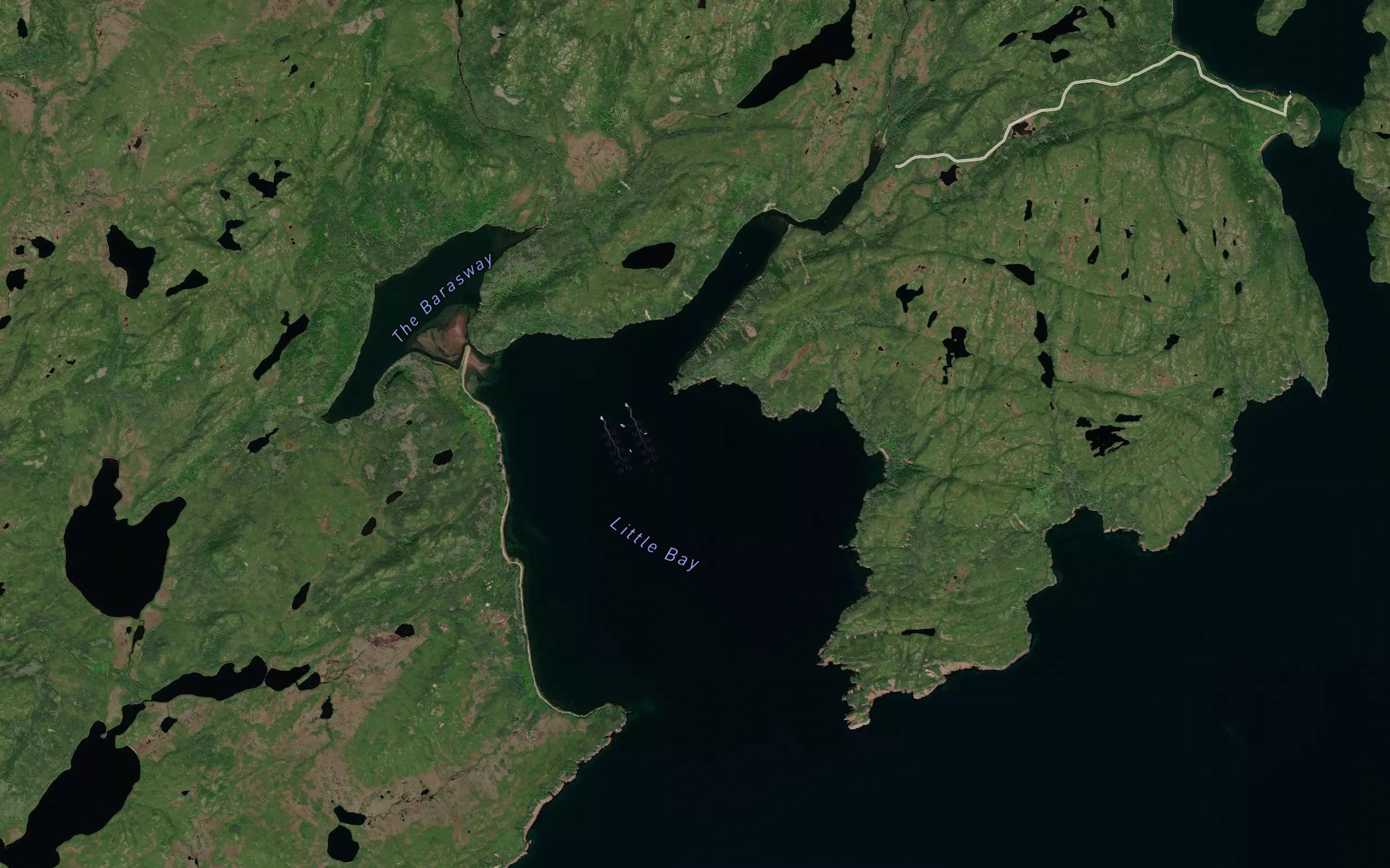 Little Bay