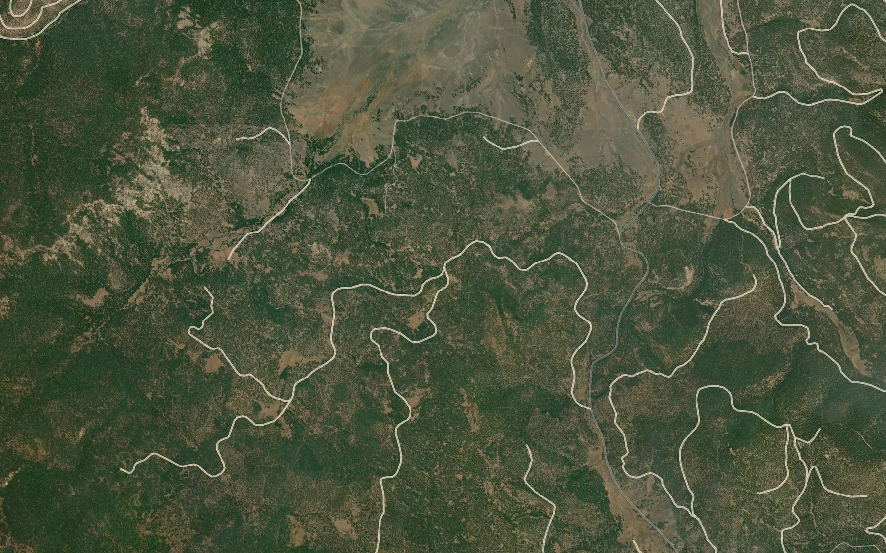 Satellite map of the Snag Spring