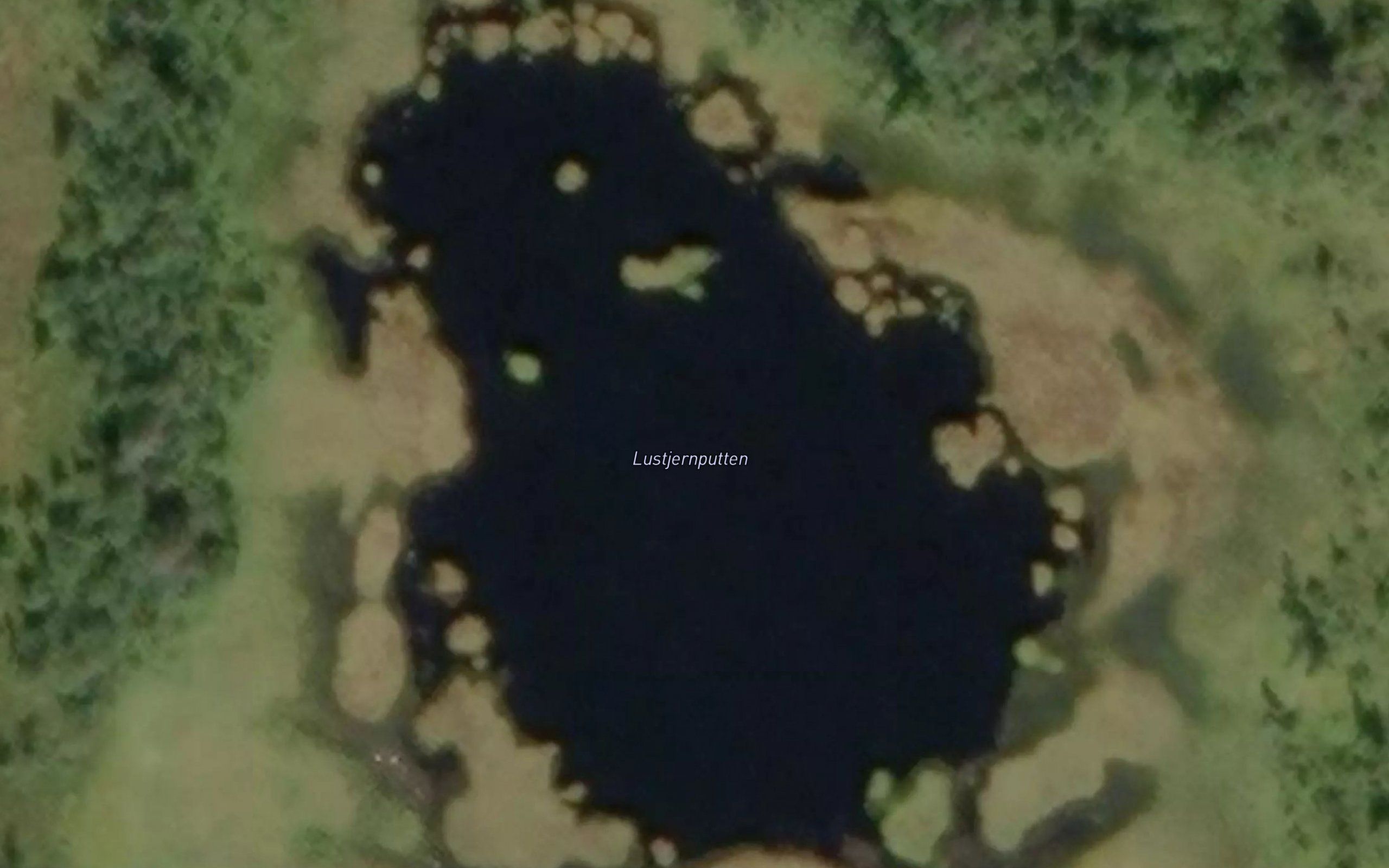 Lustjernputten