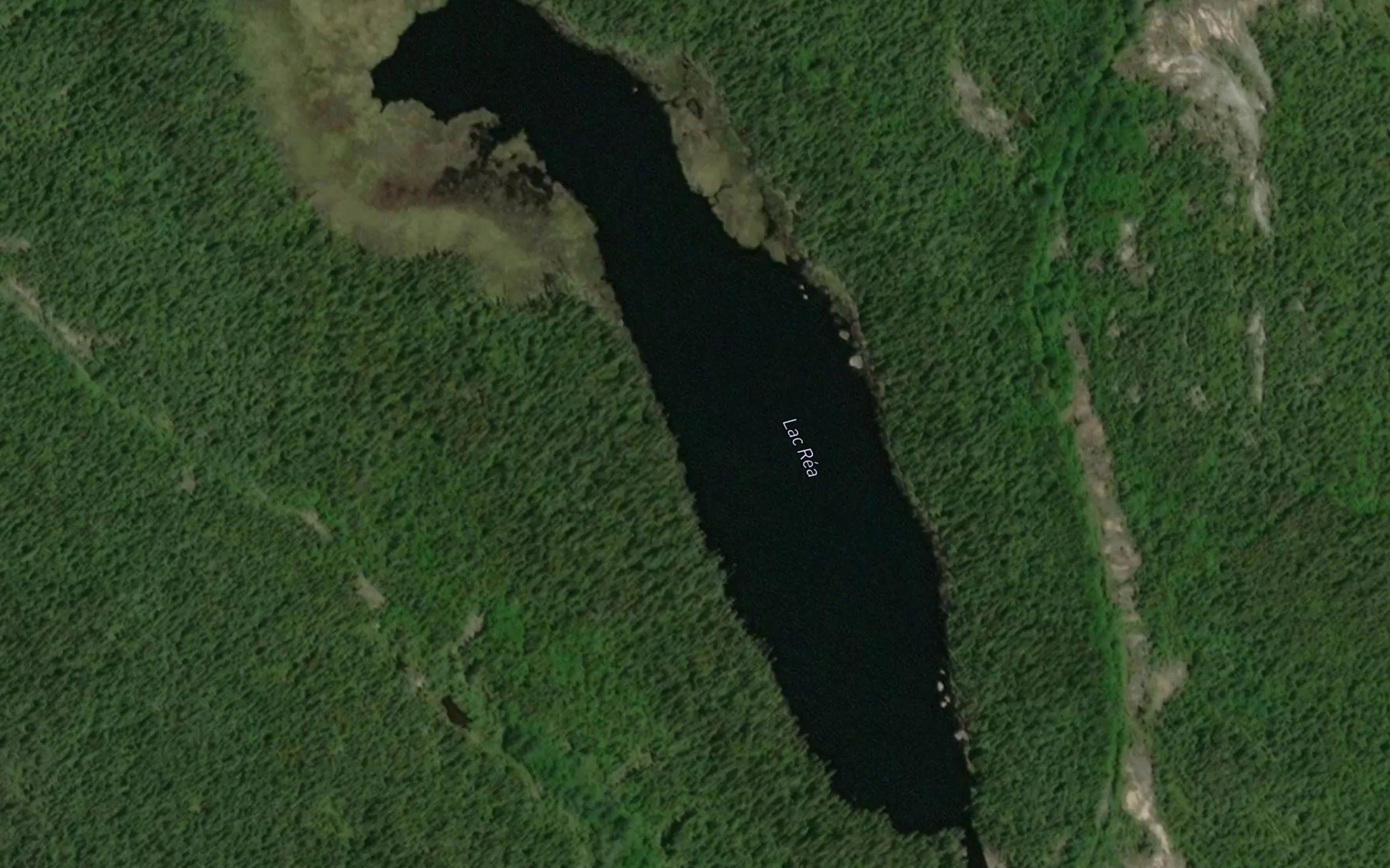 Lac Rea