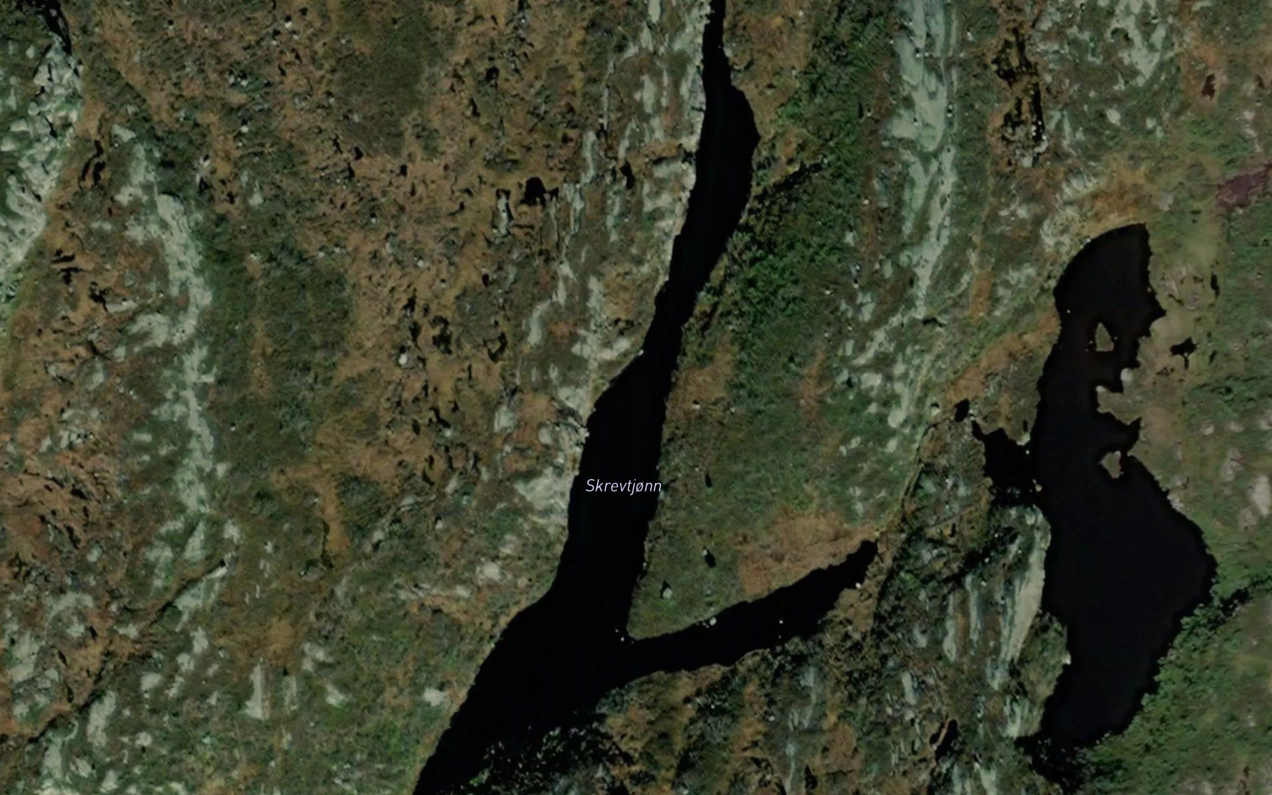 Skrevtjonn