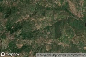 Left Fork Honeysuckle Spring