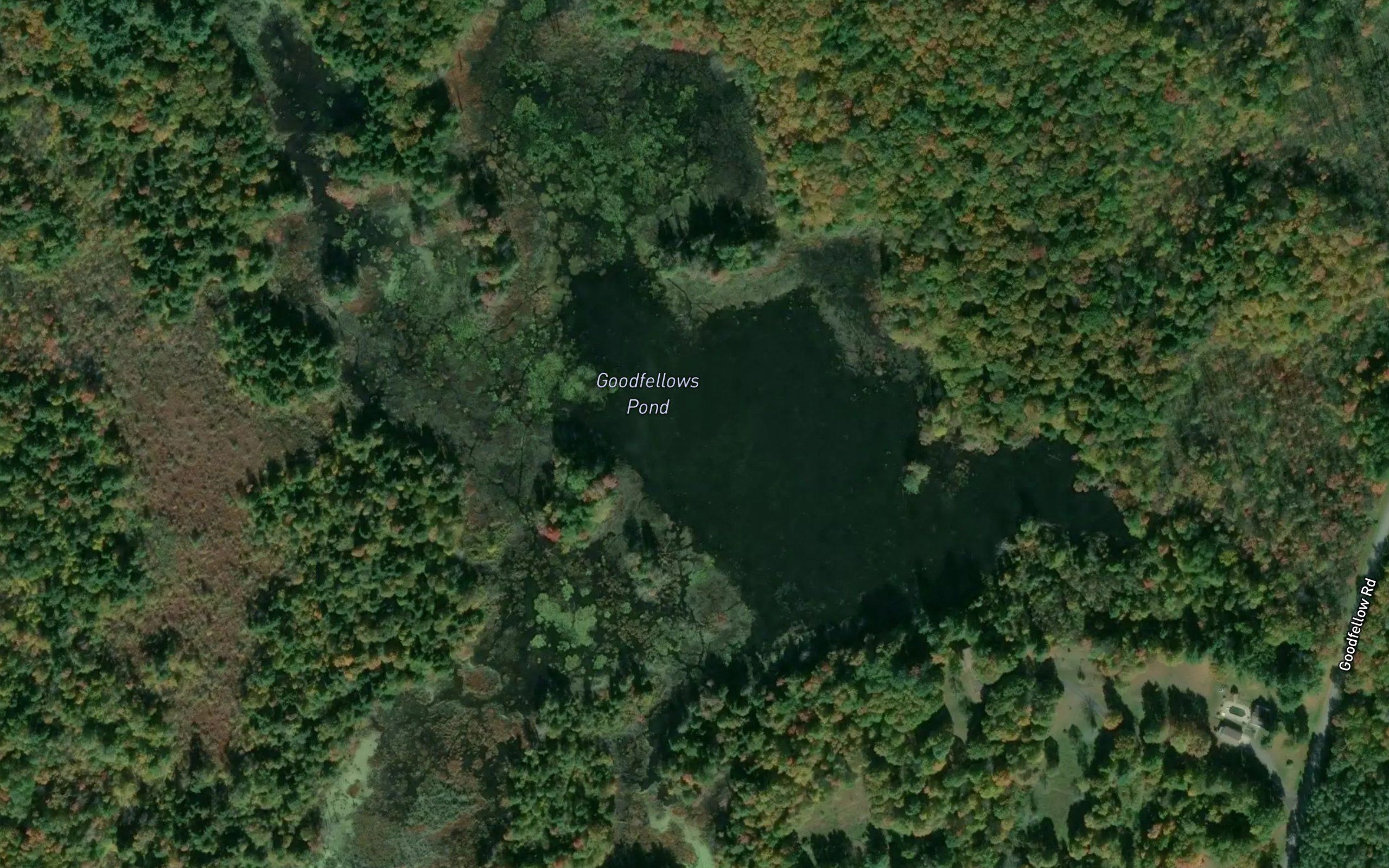 Goodfellows Pond