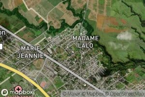 Riviere Bee Varangue