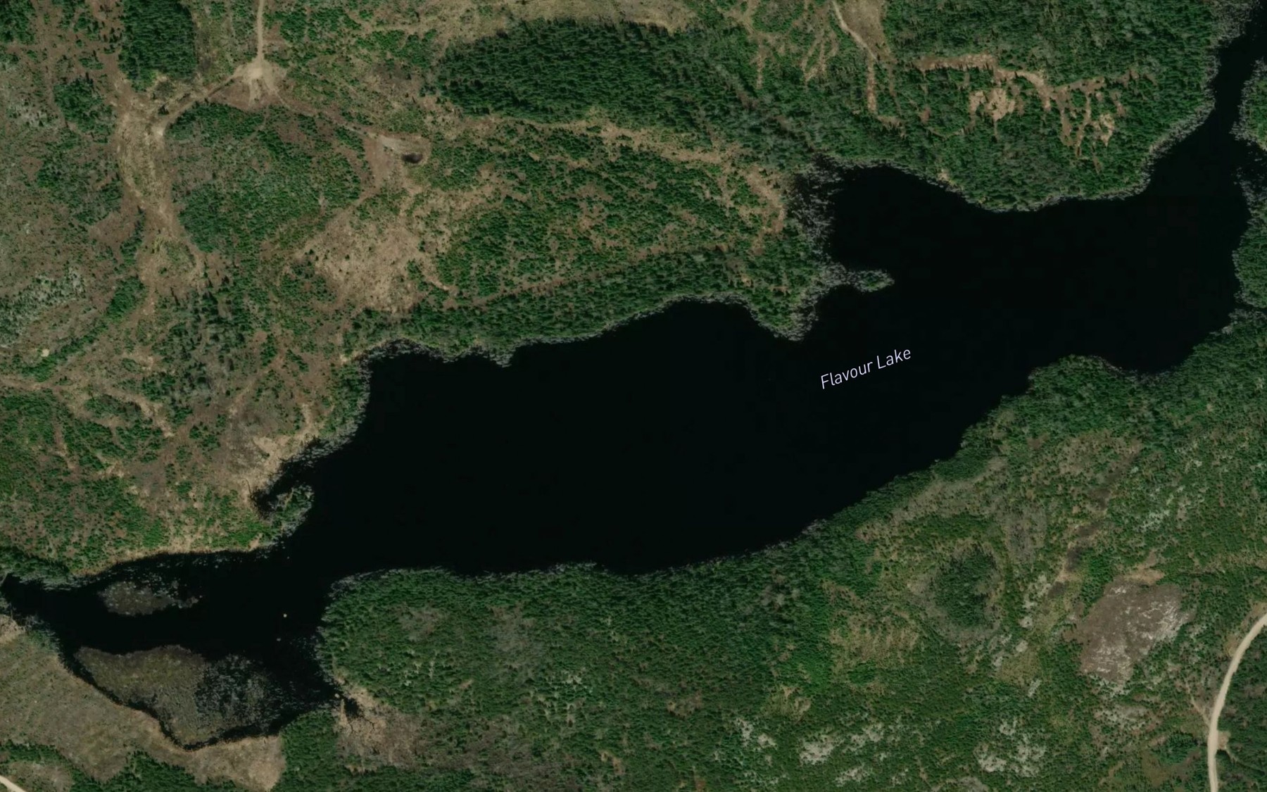 Satellite map of the Flavour Lake
