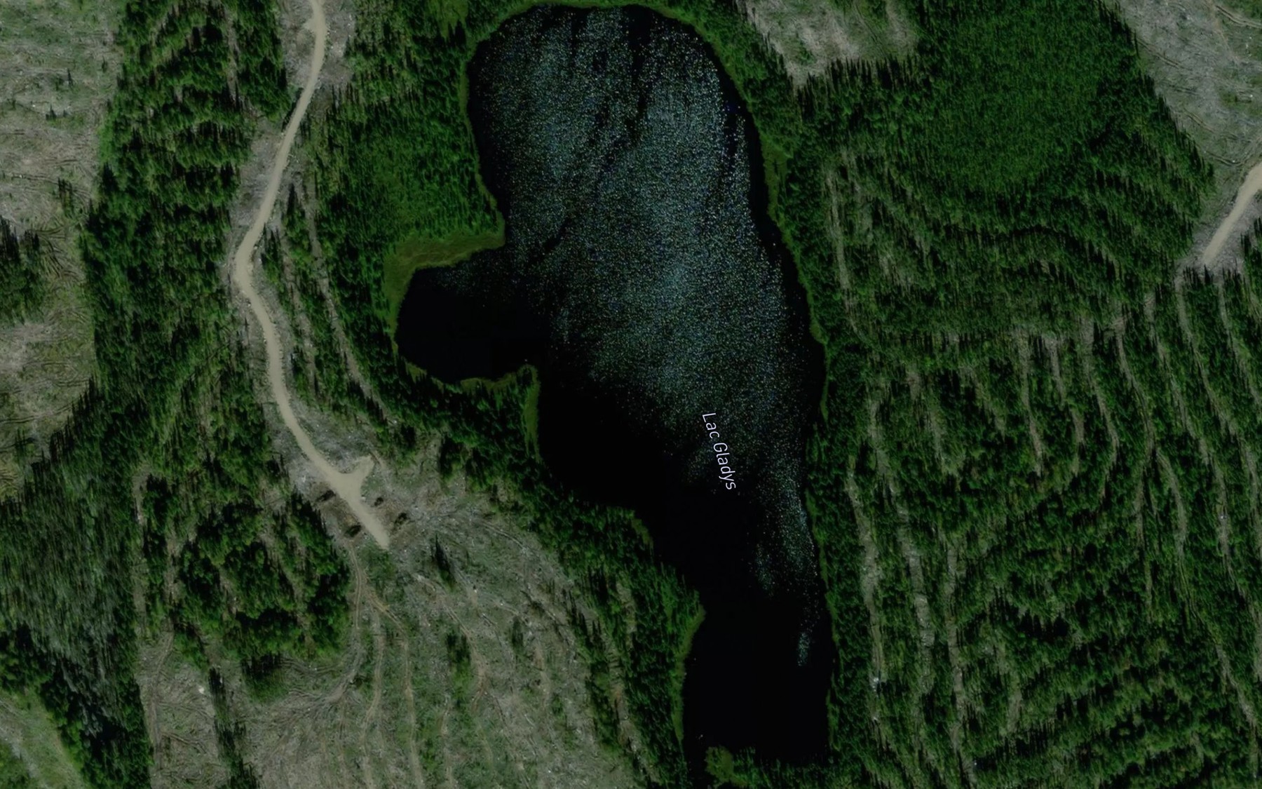 Satellite map of the Lac Gladys