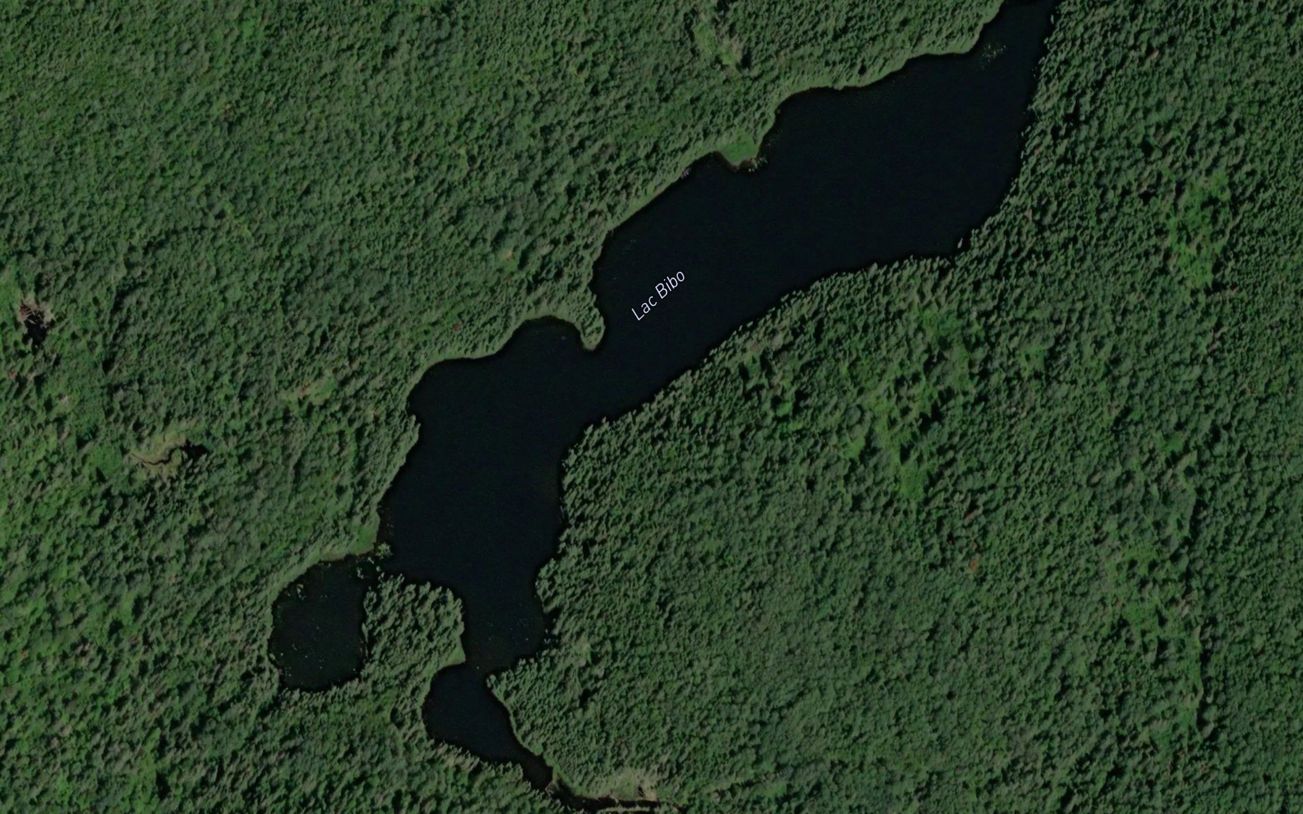 Lac Bibo