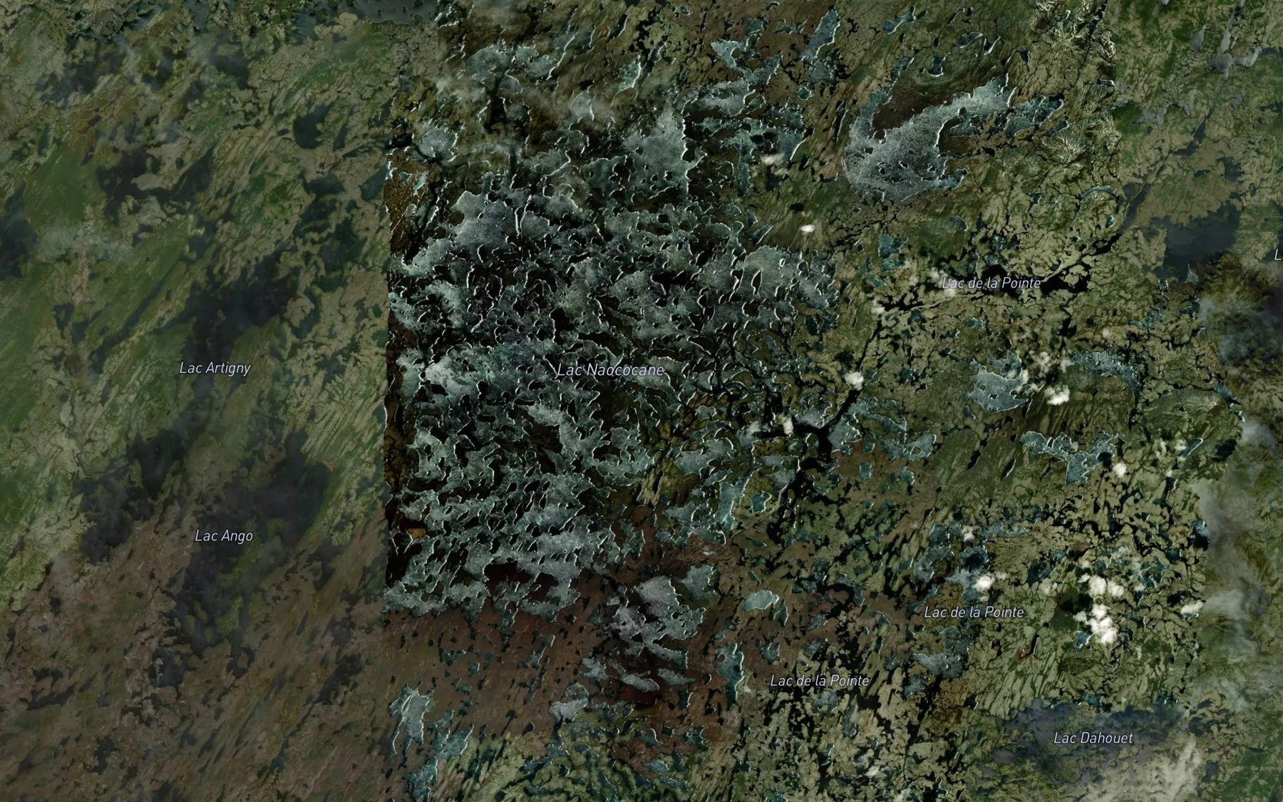 Satellite map of the Lac Naococane