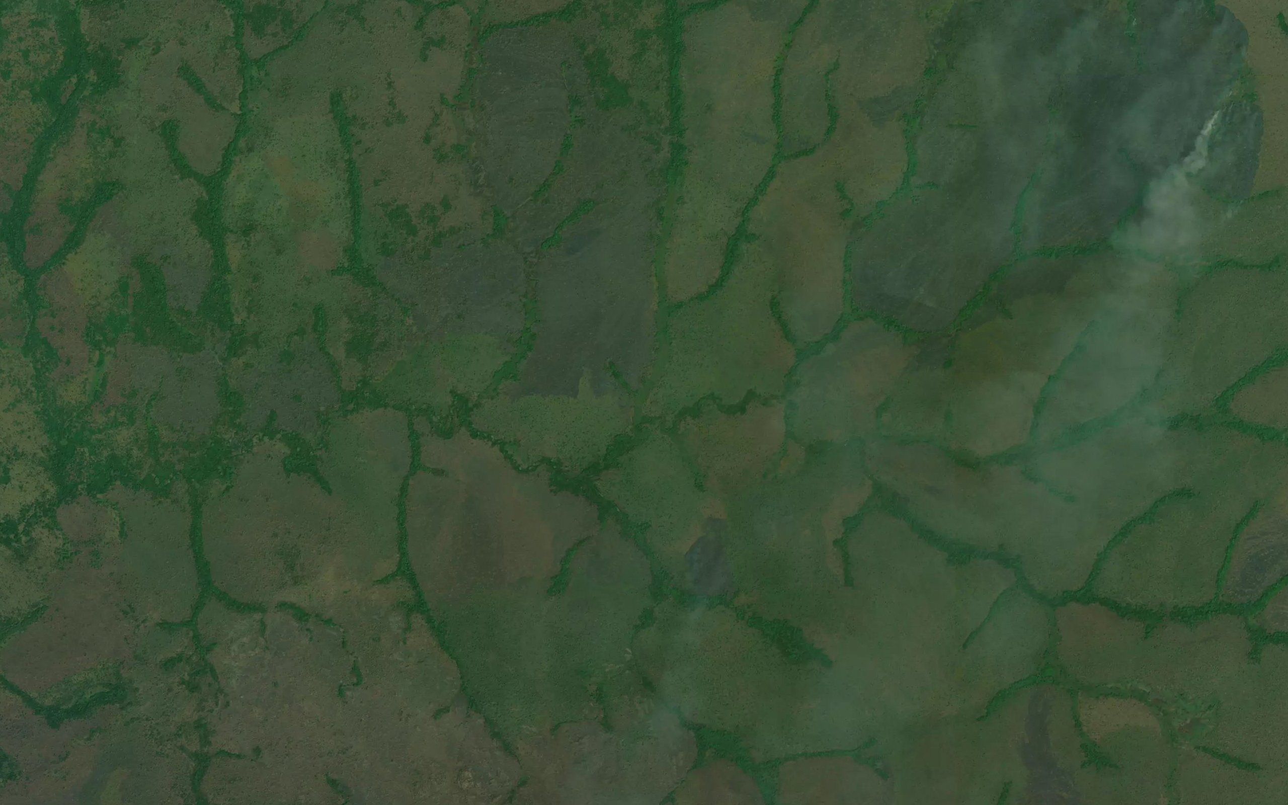 Nangiliwi