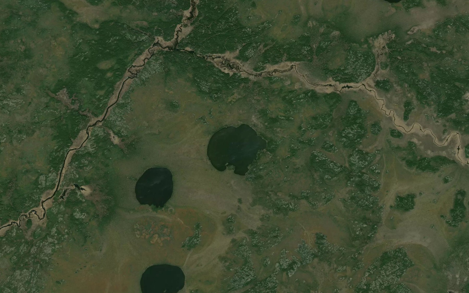 Satellite map of the Roy Lake