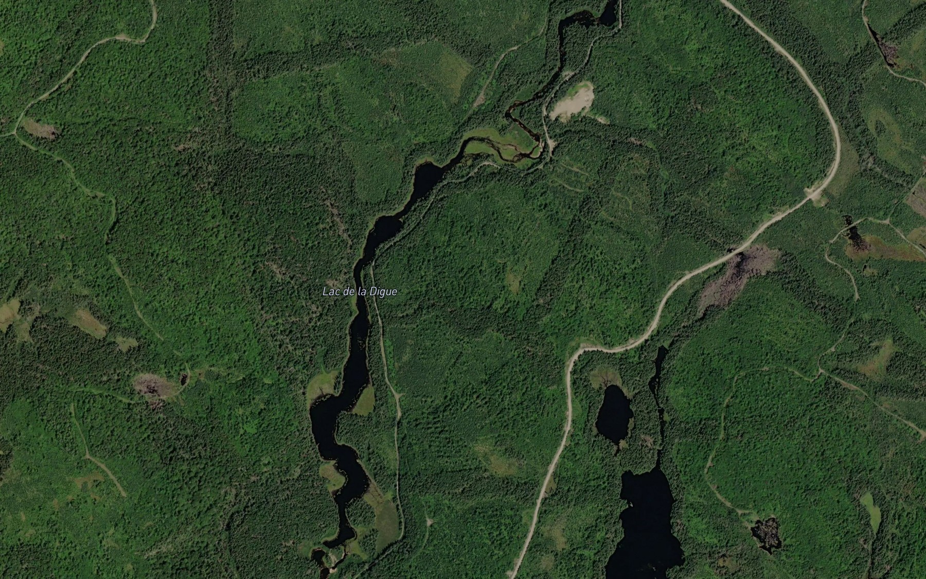 Satellite map of the Lac de la Digue