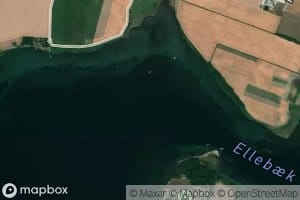 Ellebaek Vig
