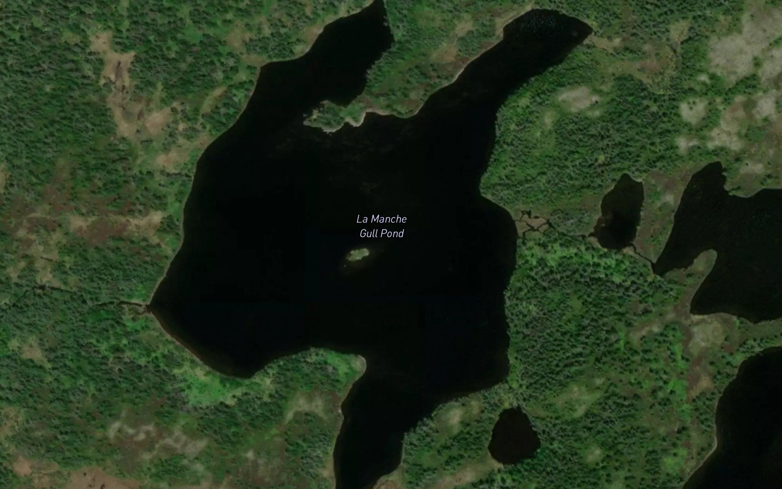 La Manche Gull Pond