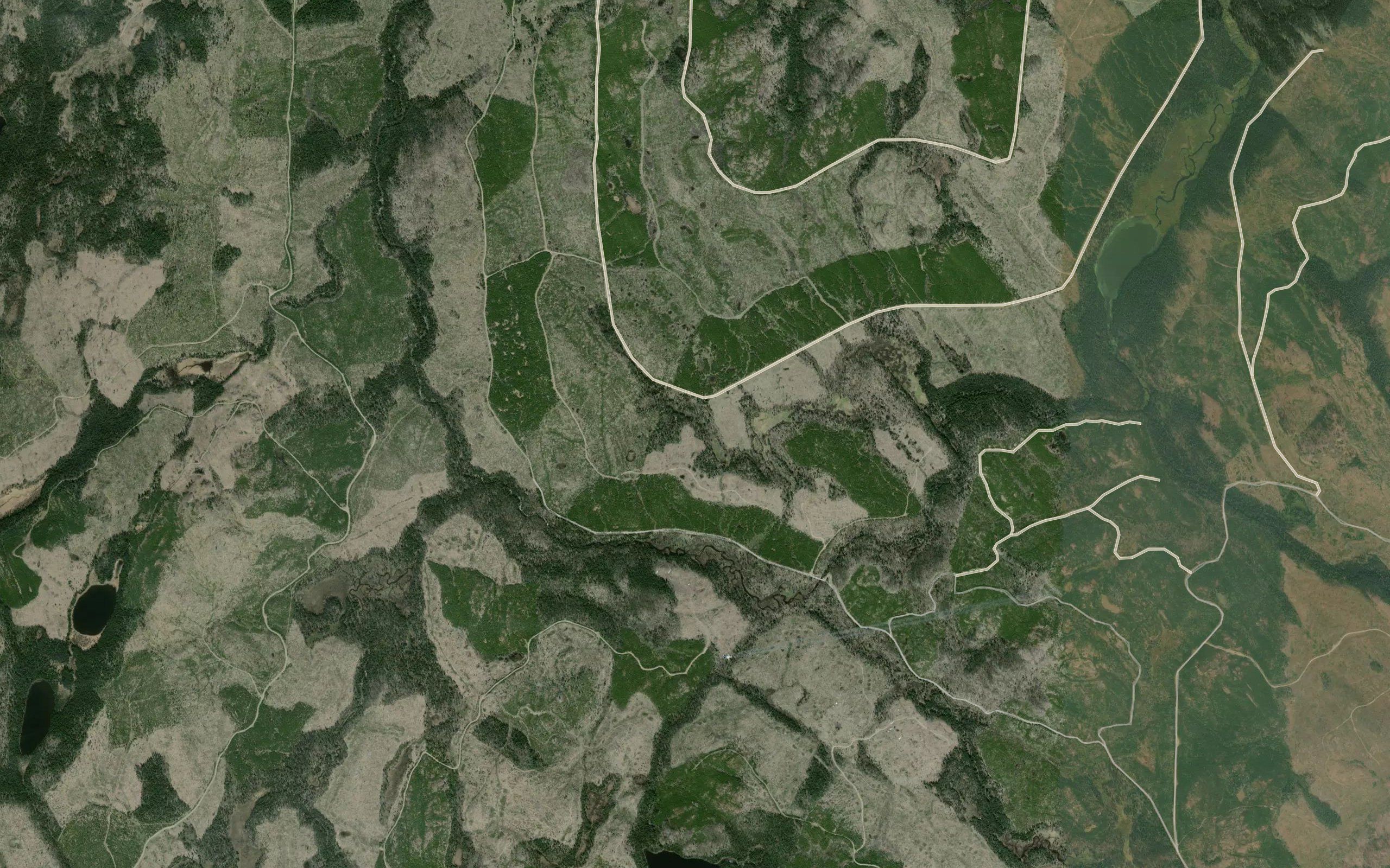 Alocin Creek