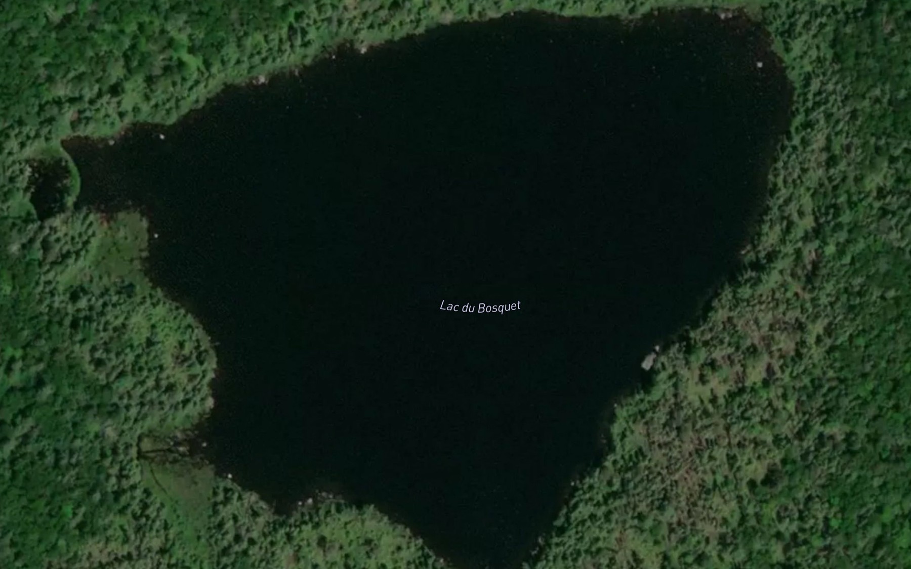 Satellite map of the Lac du Bosquet