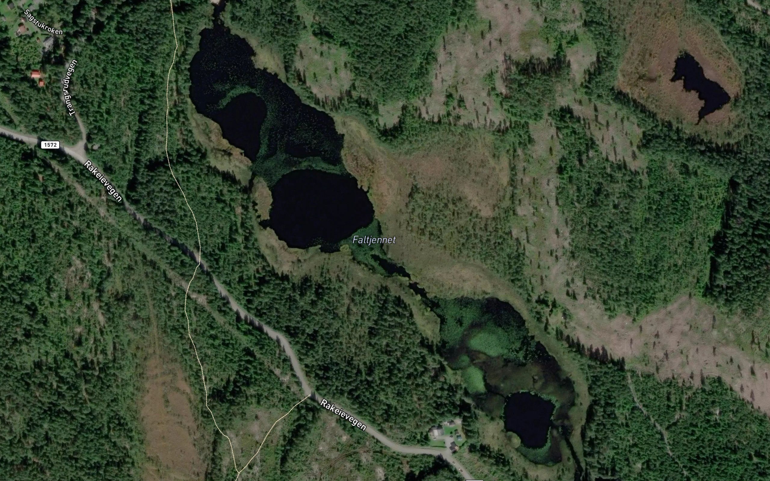 Faltjerna