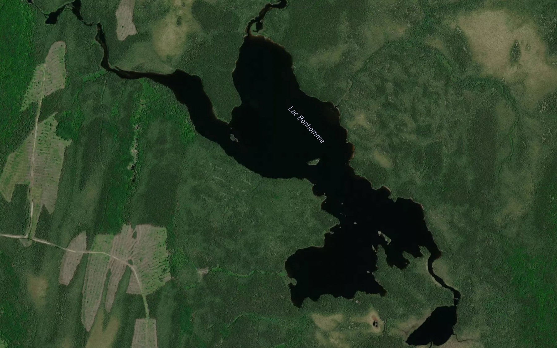 Satellite map of the Lac Bonhomme