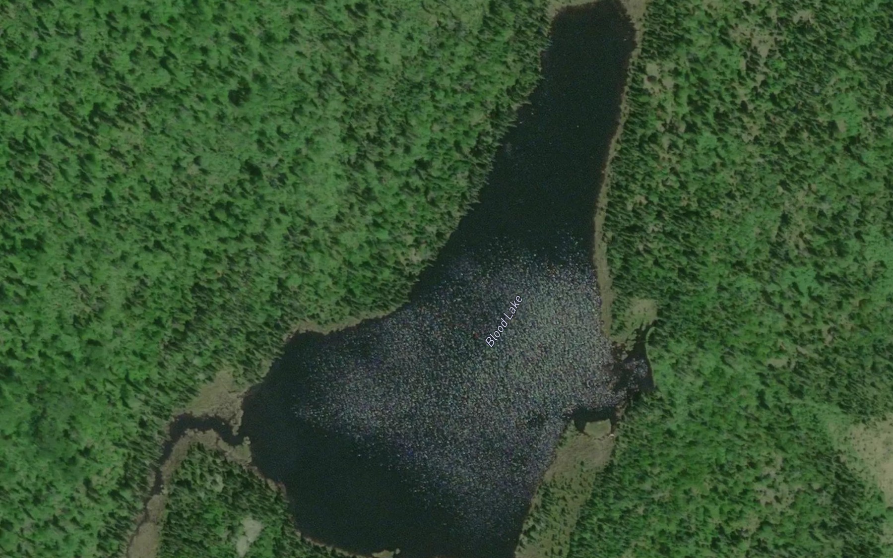 Satellite map of the Blood Lake