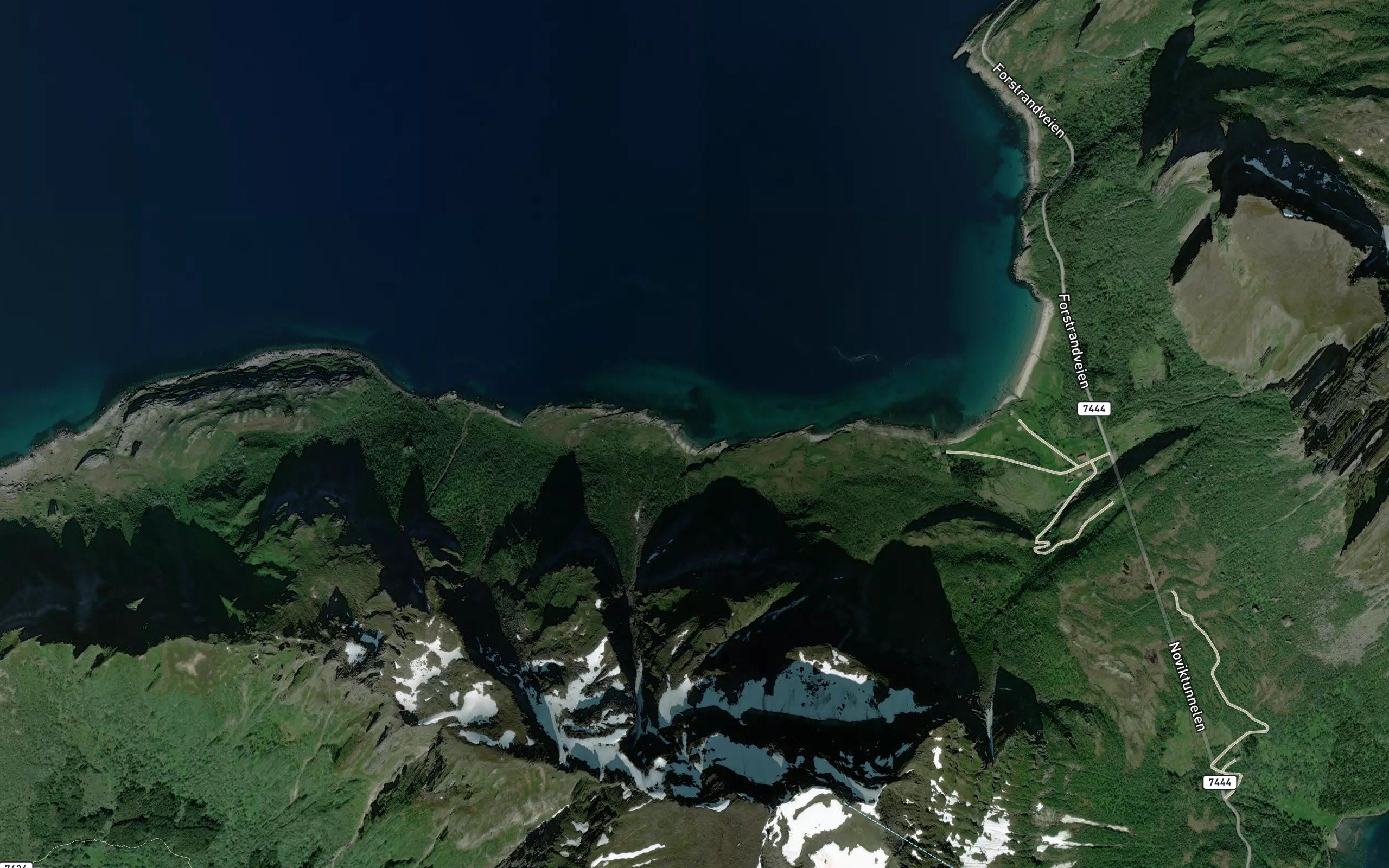 Silvika
