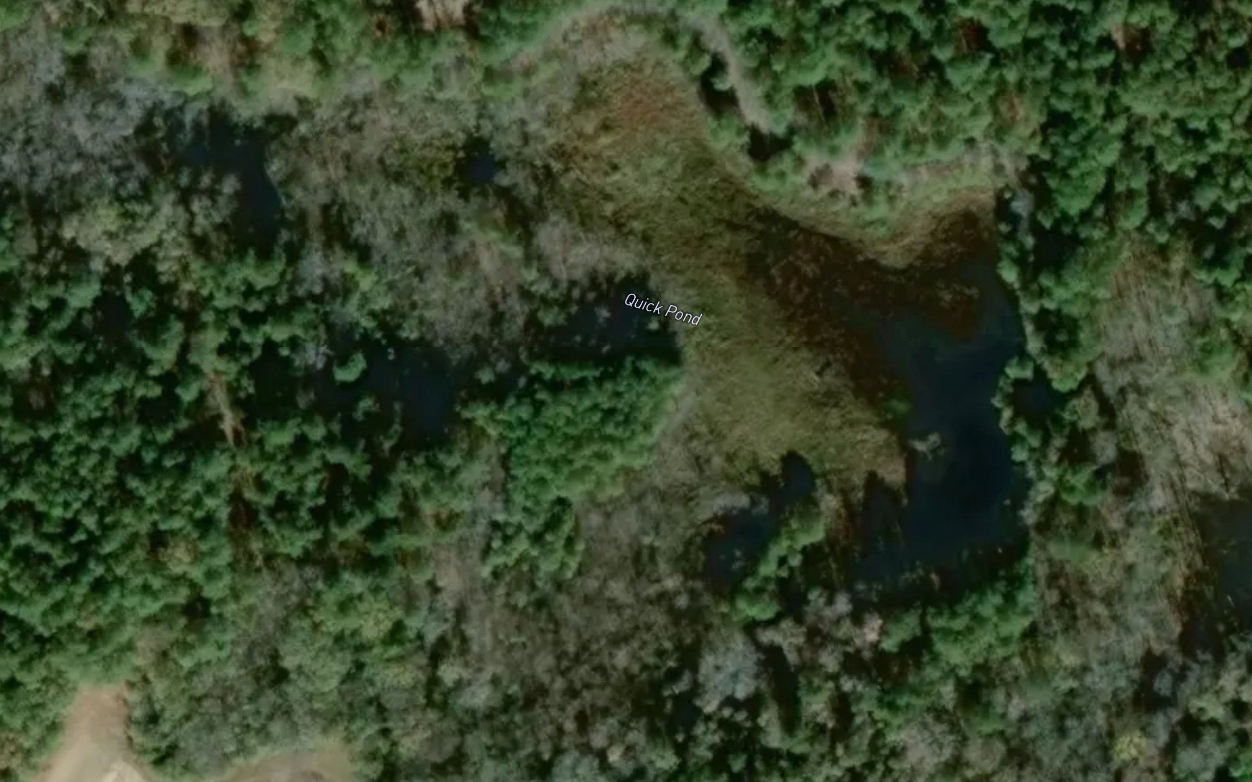 Quick Pond