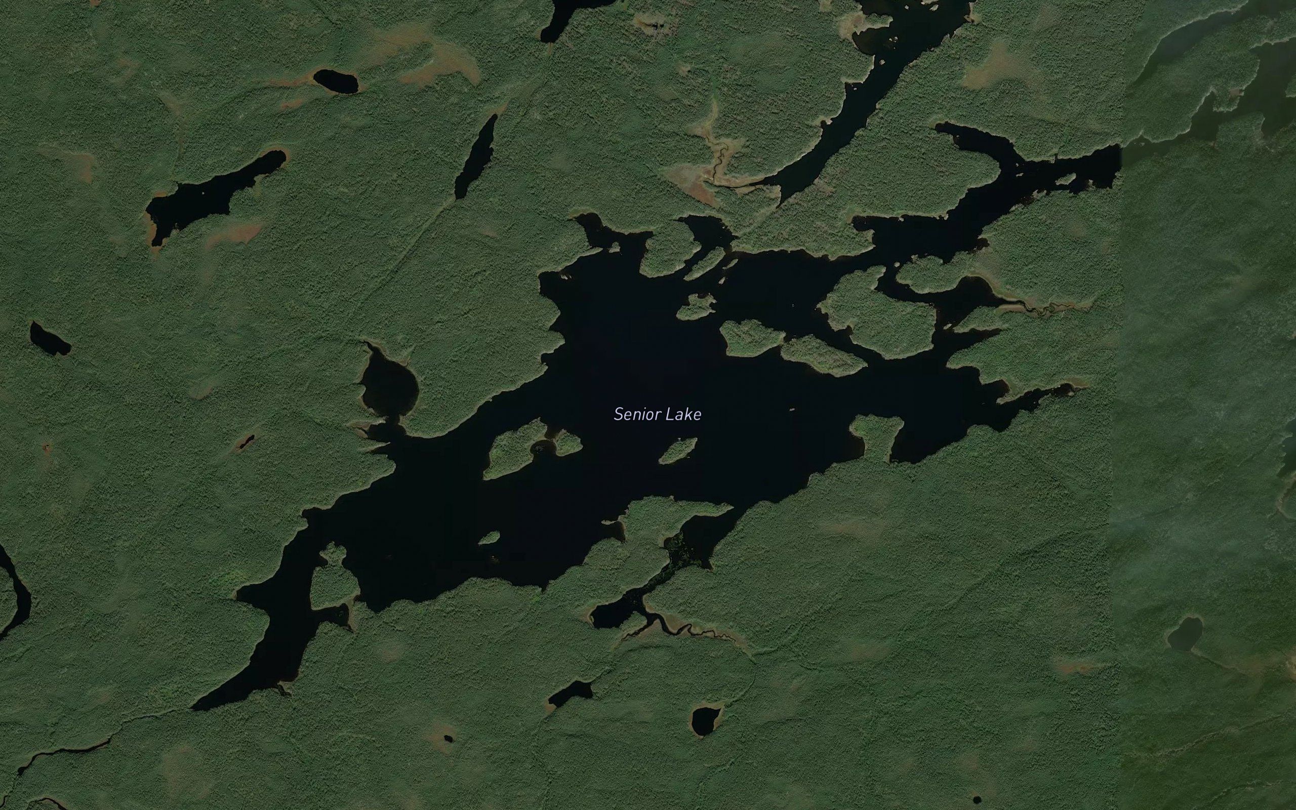 Senior Lake