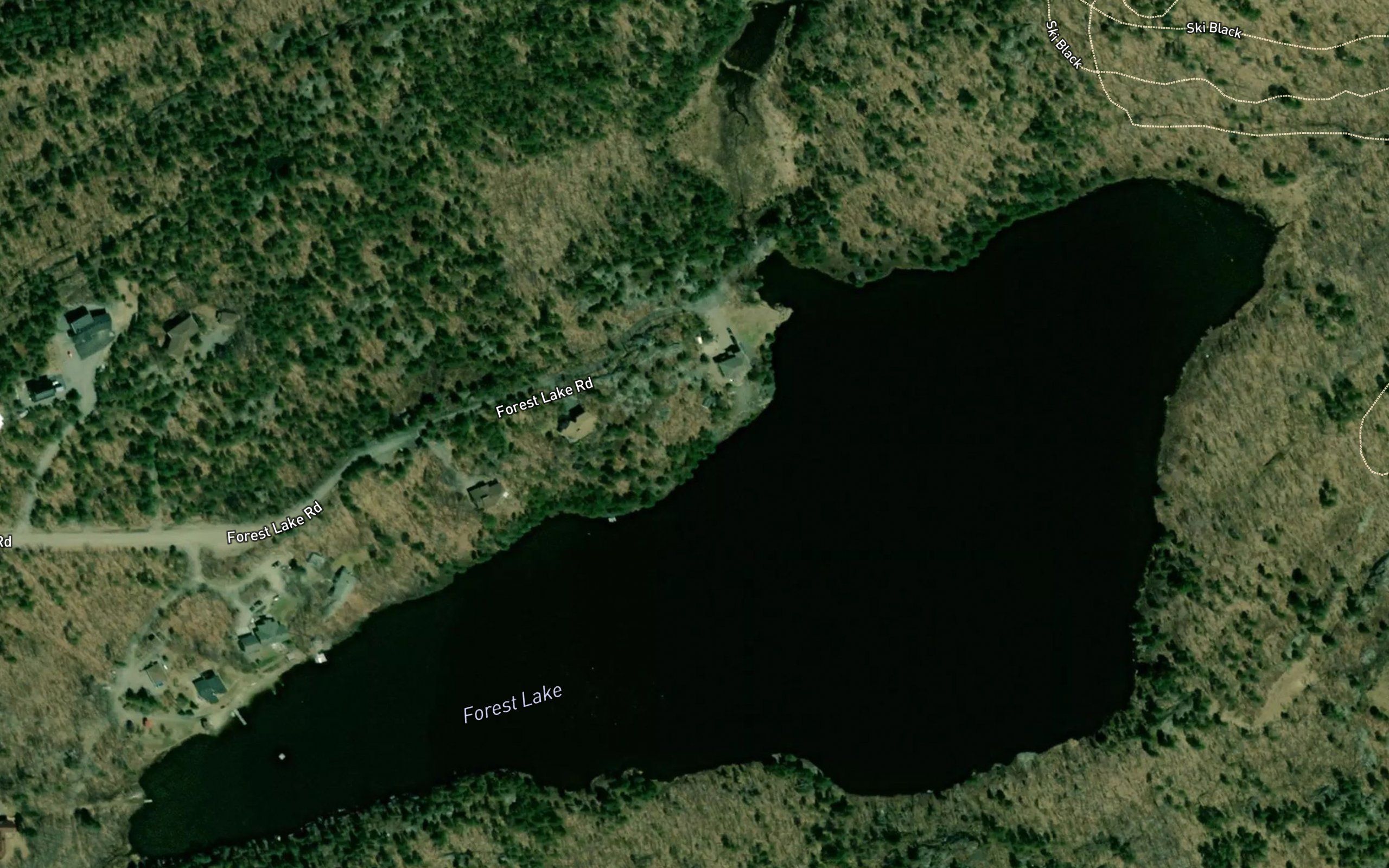 Forest Lake
