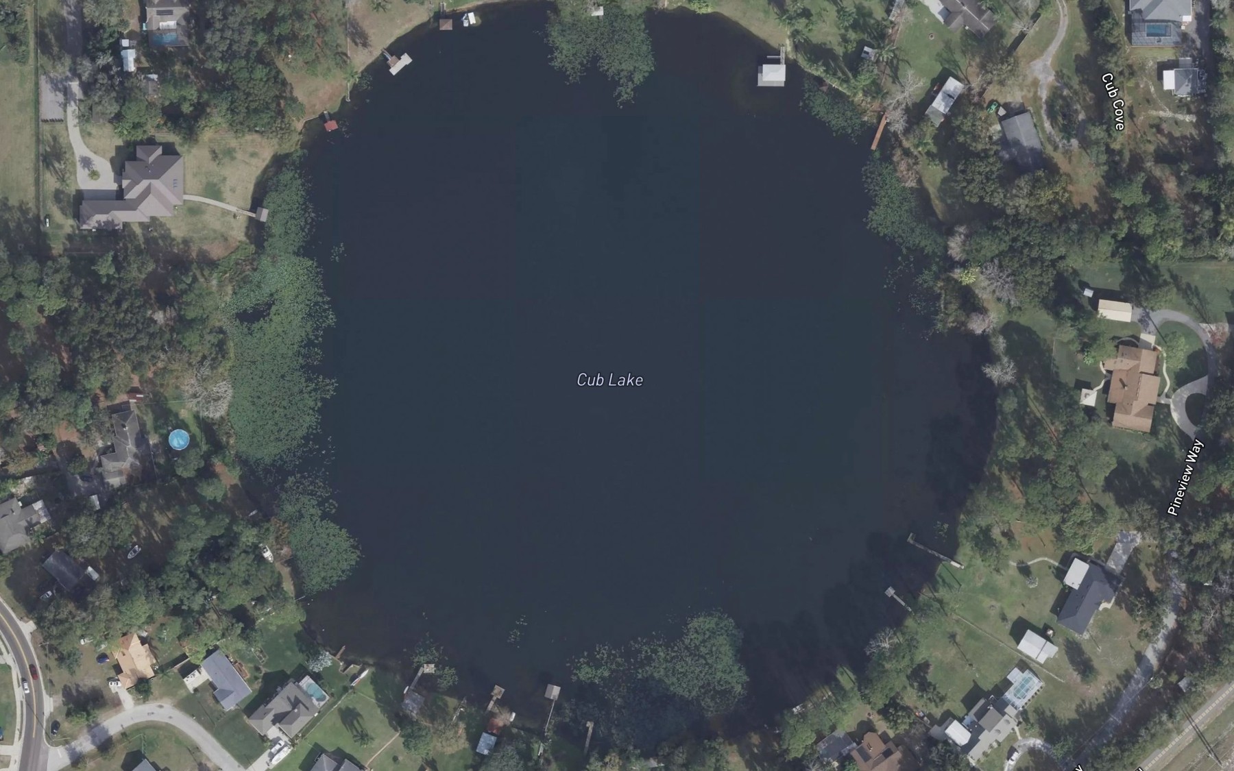 Satellite map of the Cub Lake