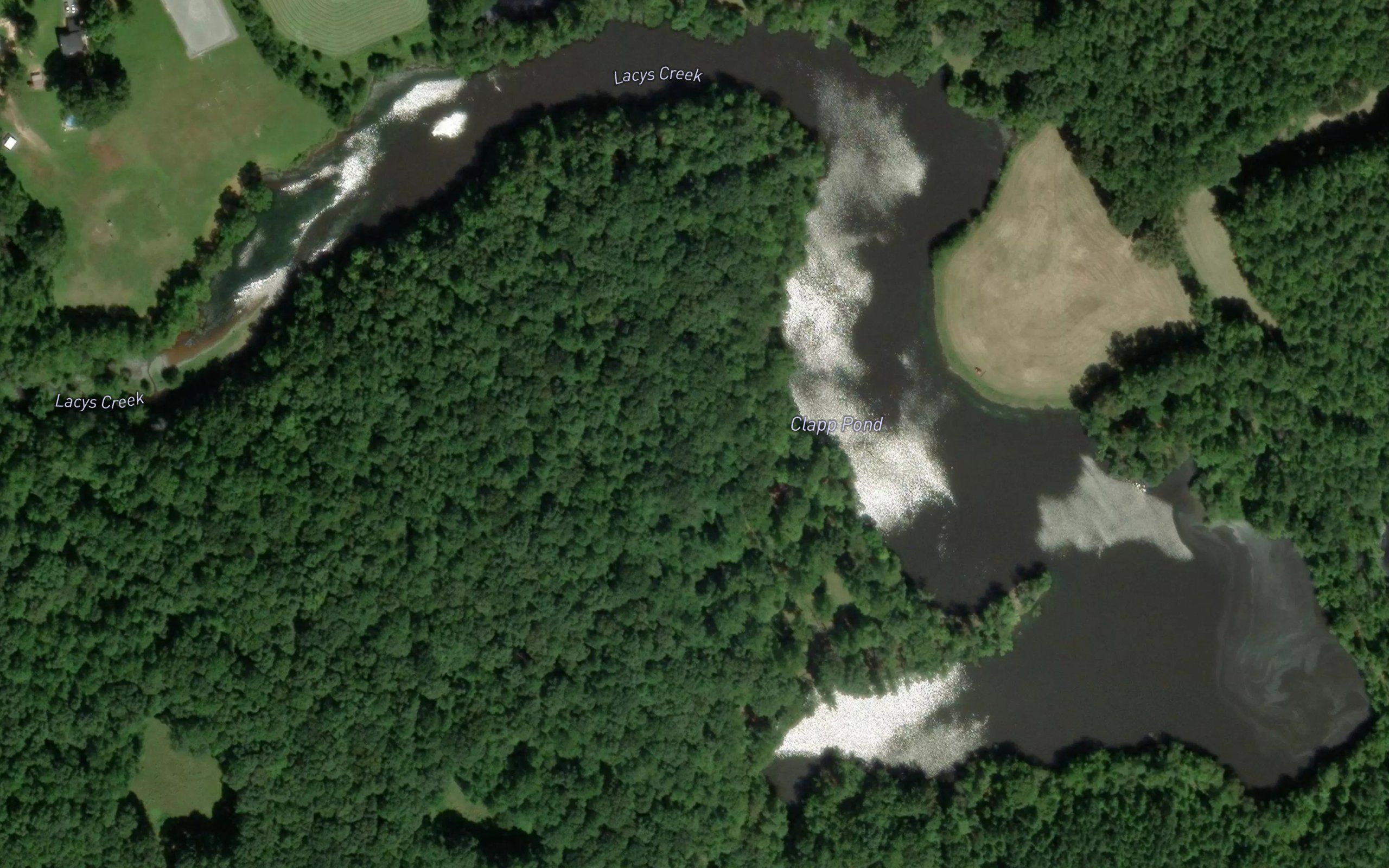 Clapp Pond