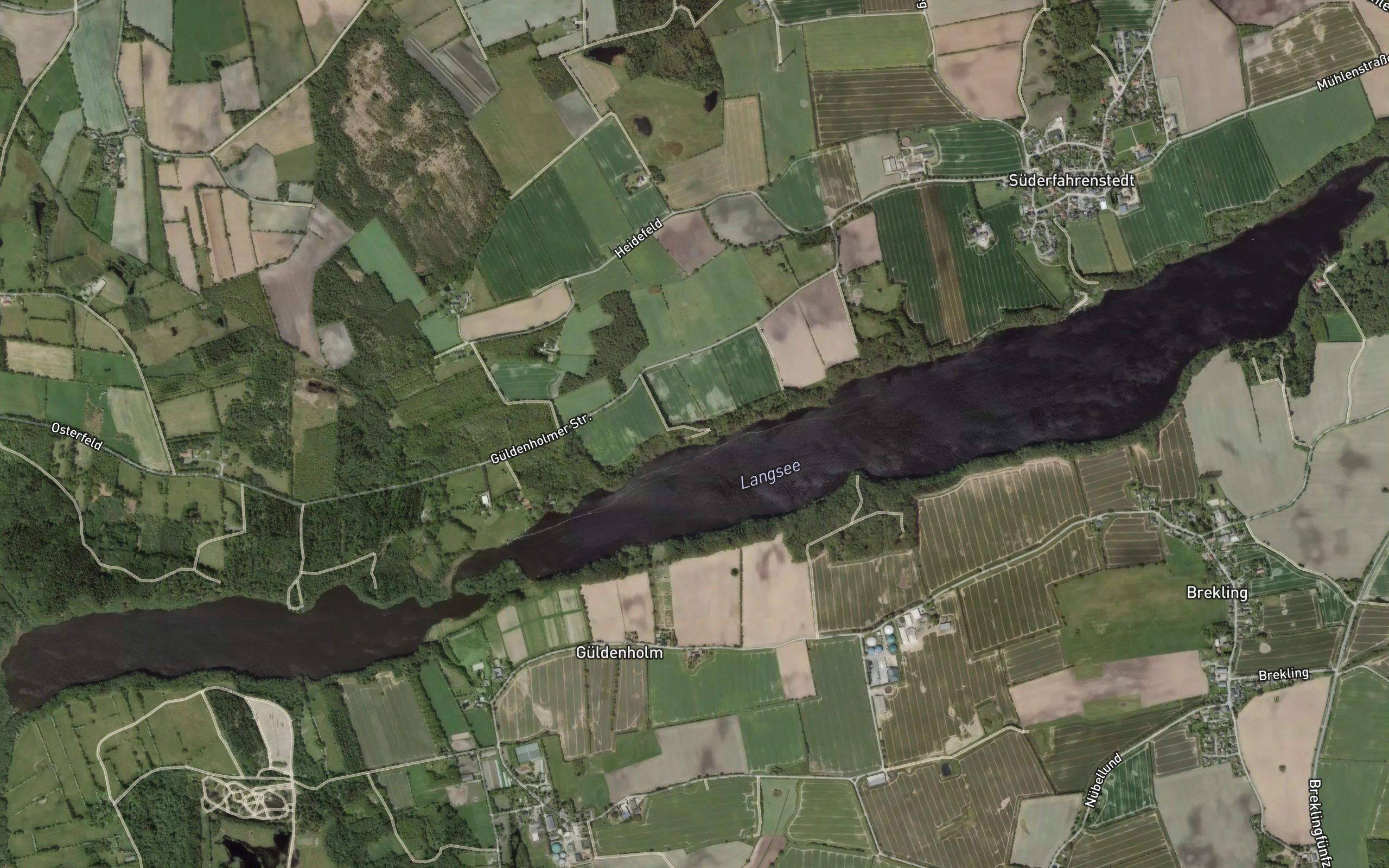 Langsee