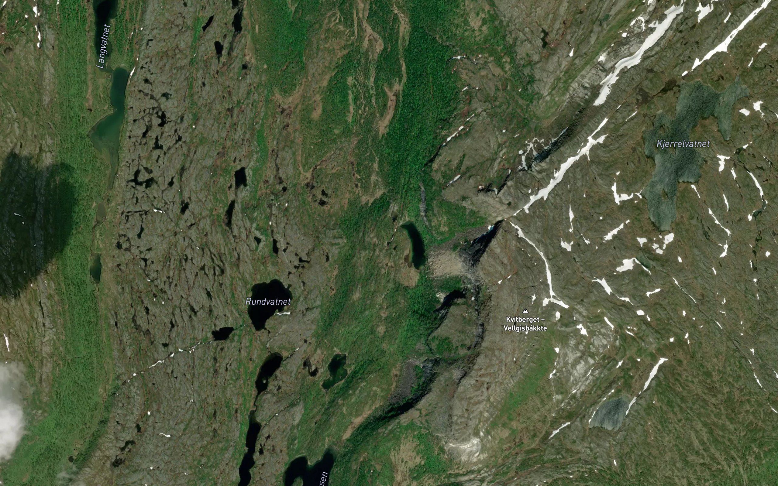 Lapptjorna