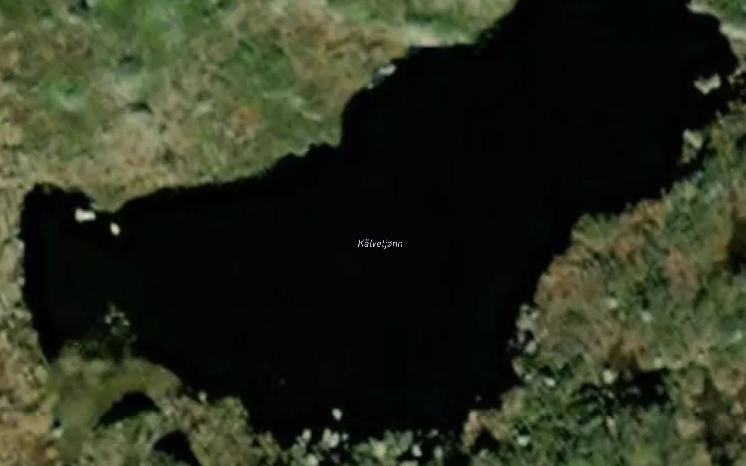 Kalvetjonn