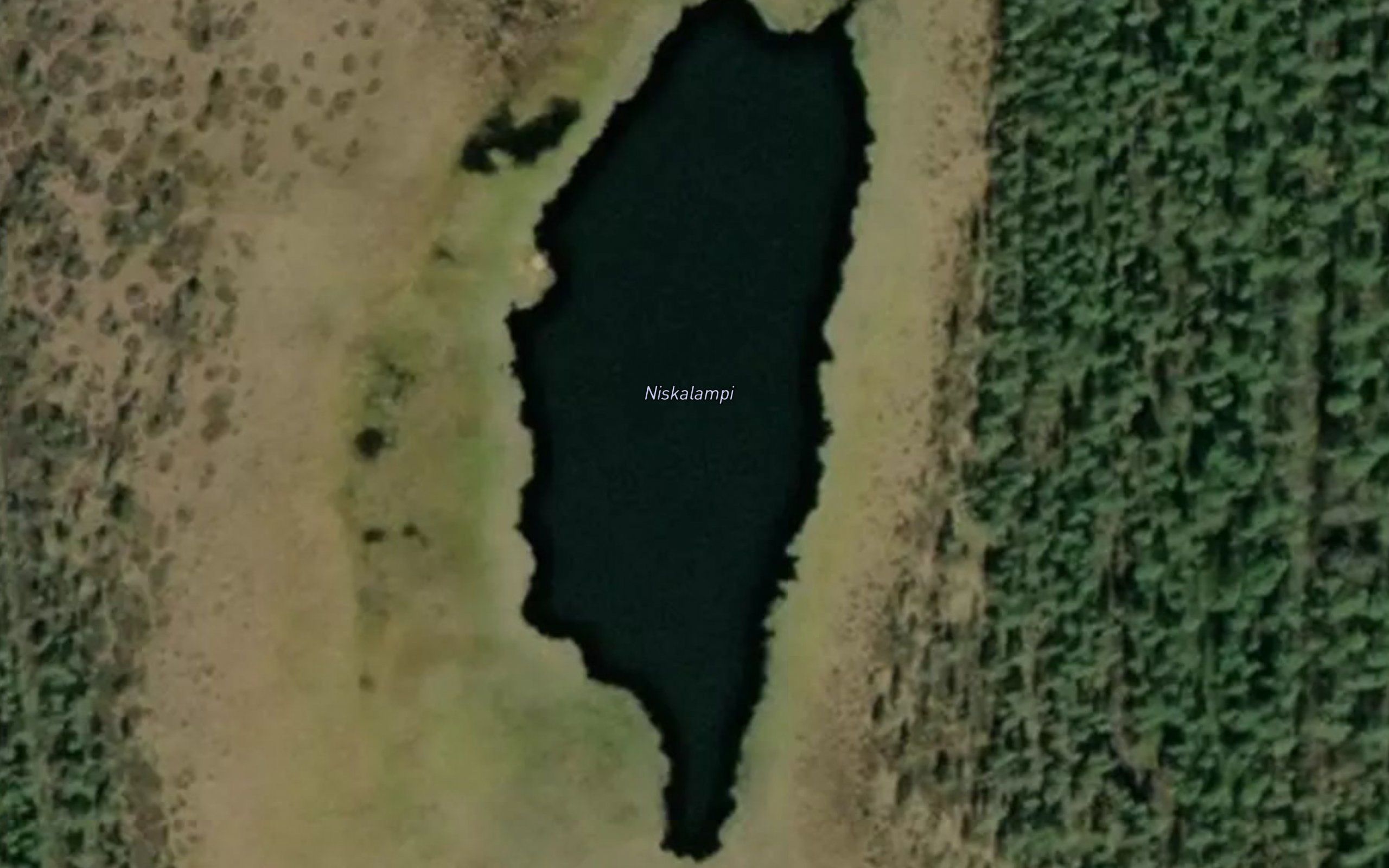 Niskalampi