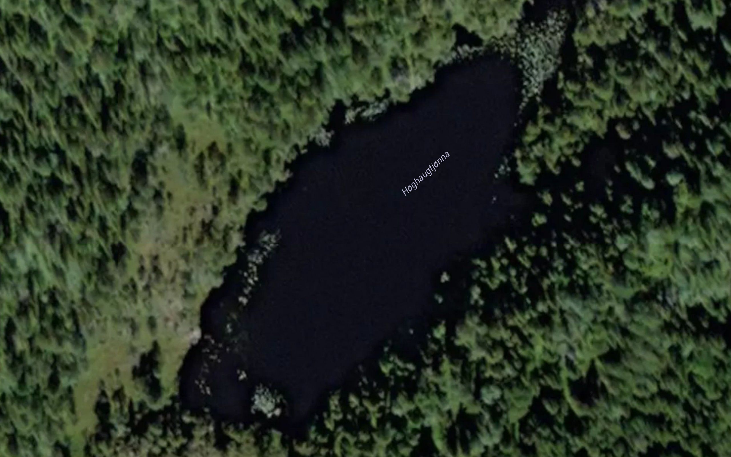 Hoghaugtjorna