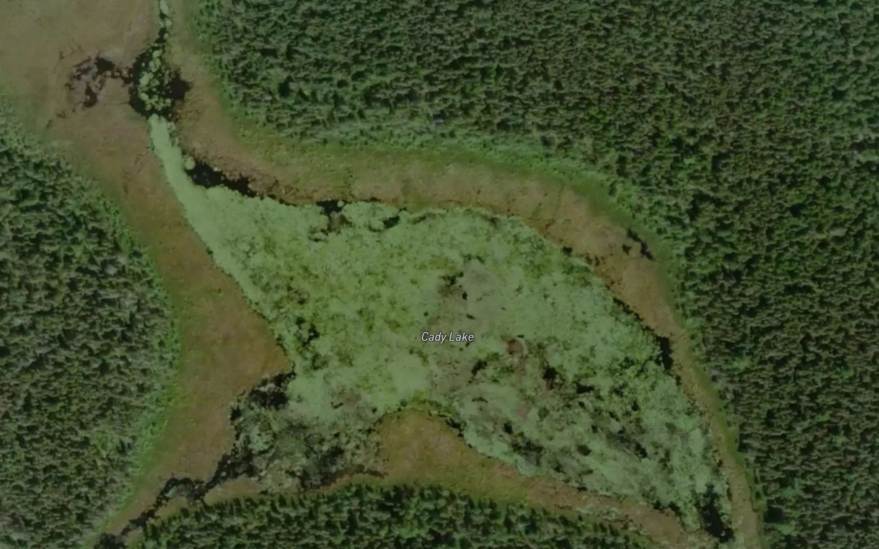Satellite map of the Cady Lake