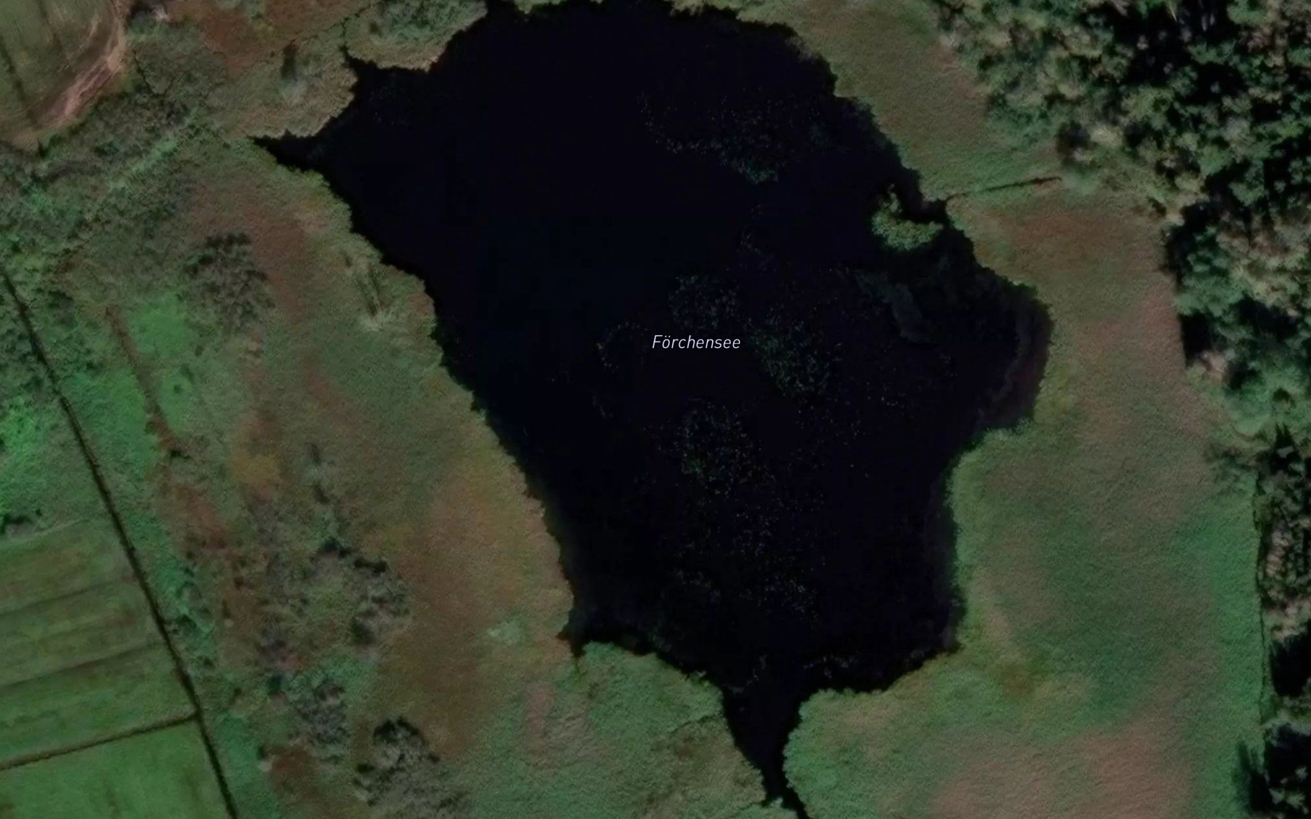 Forchen See