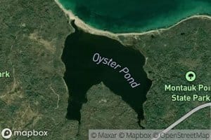 Oyster Pond